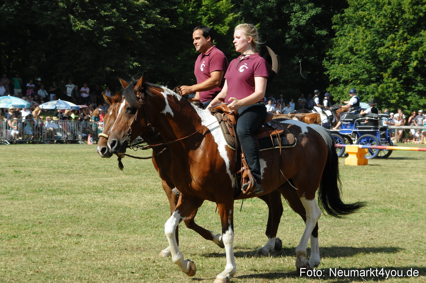 Pferde Fohlenschau 200812 0227