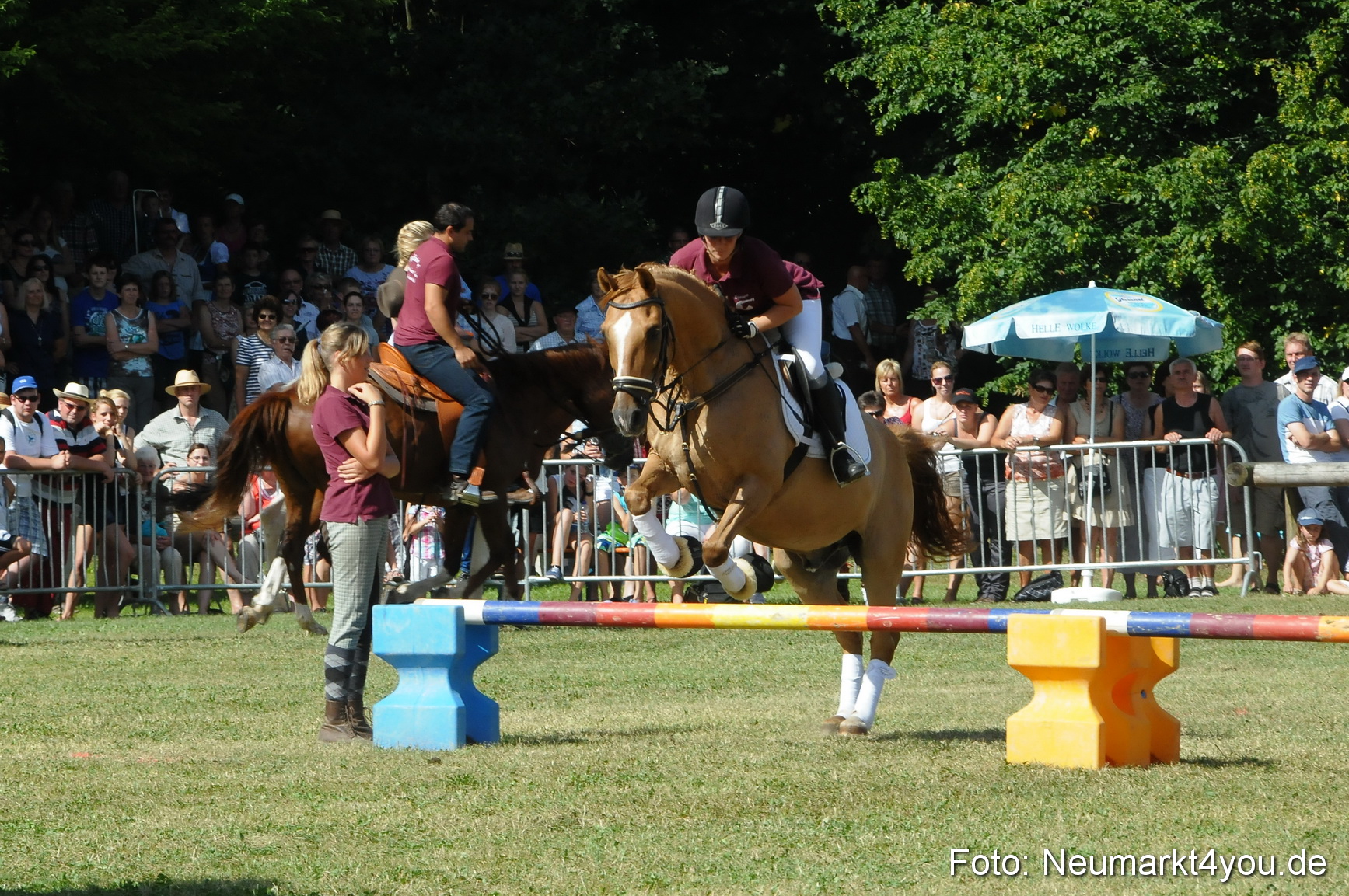 Pferde Fohlenschau 200812 0228