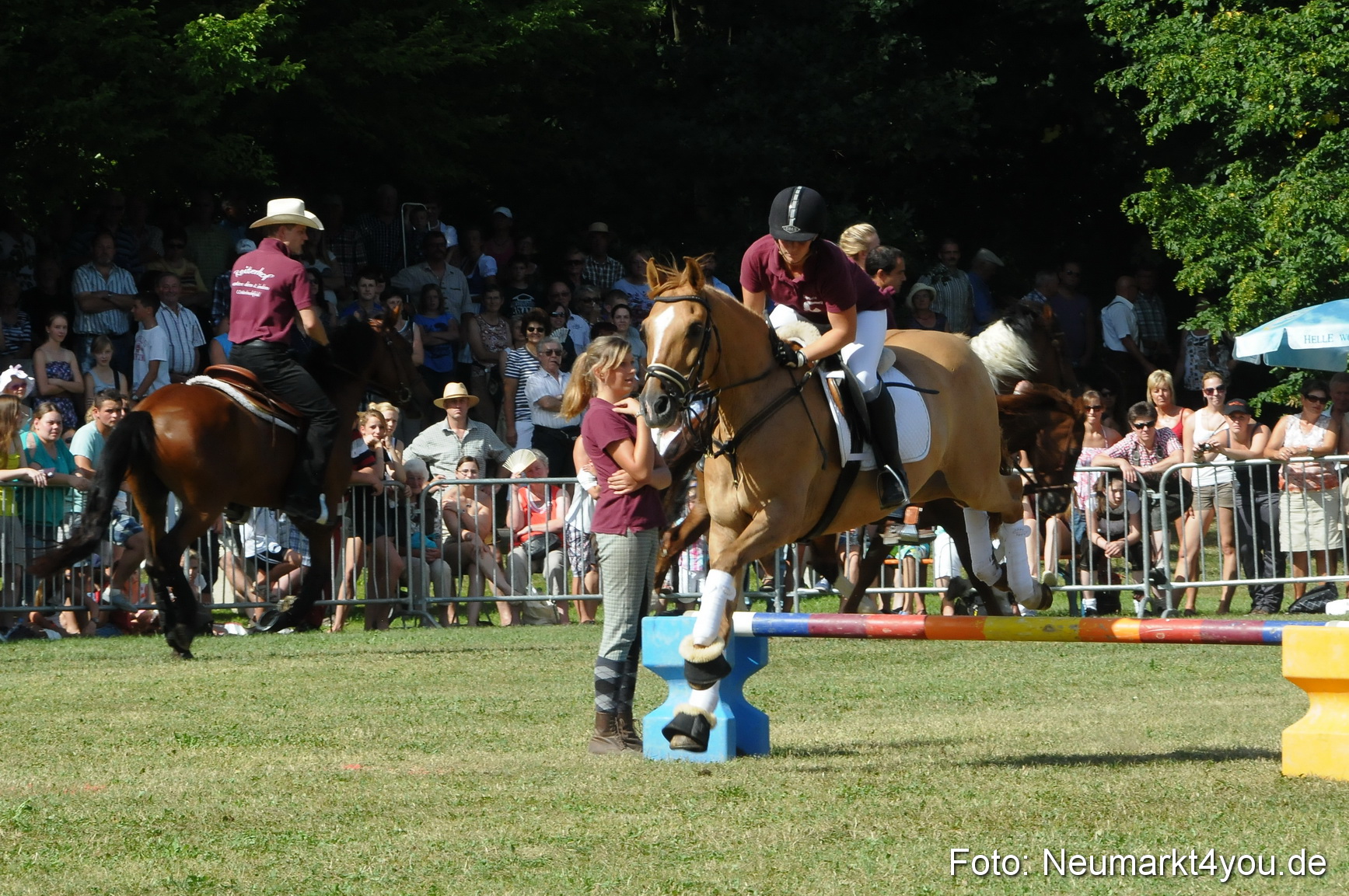 Pferde Fohlenschau 200812 0229