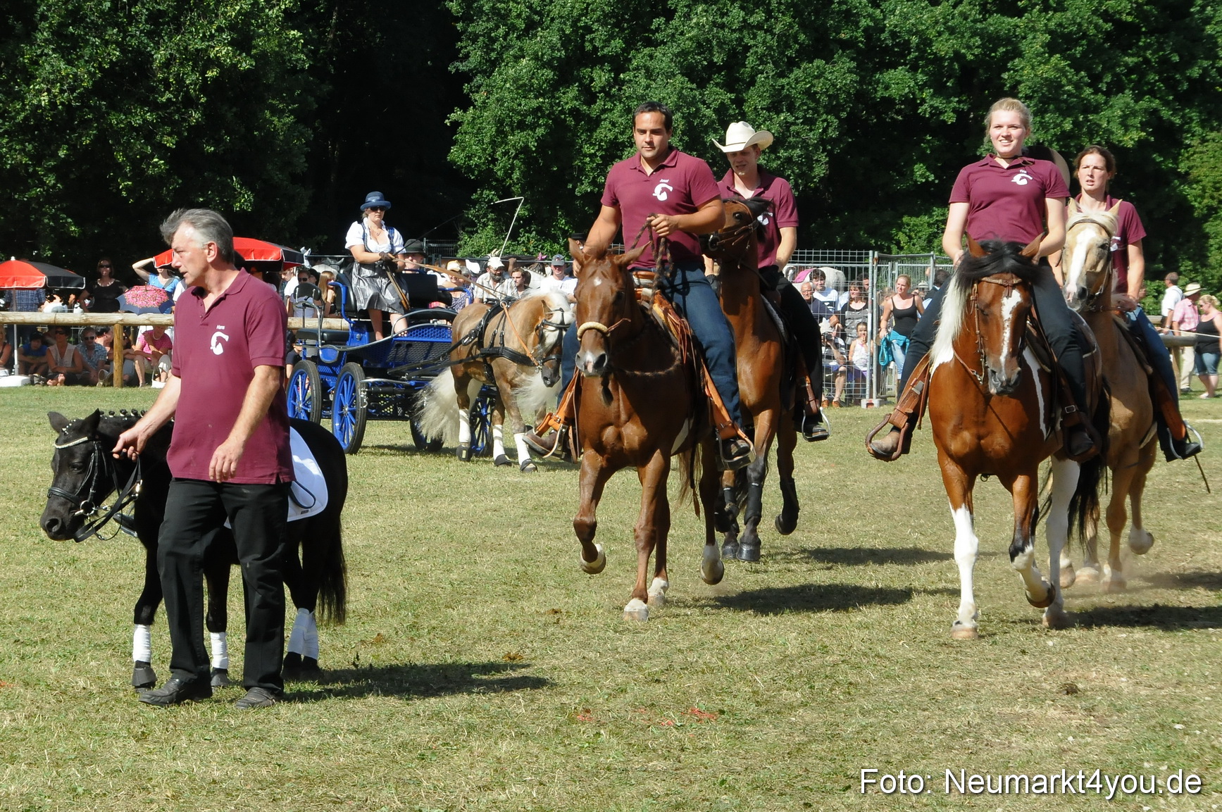 Pferde Fohlenschau 200812 0230