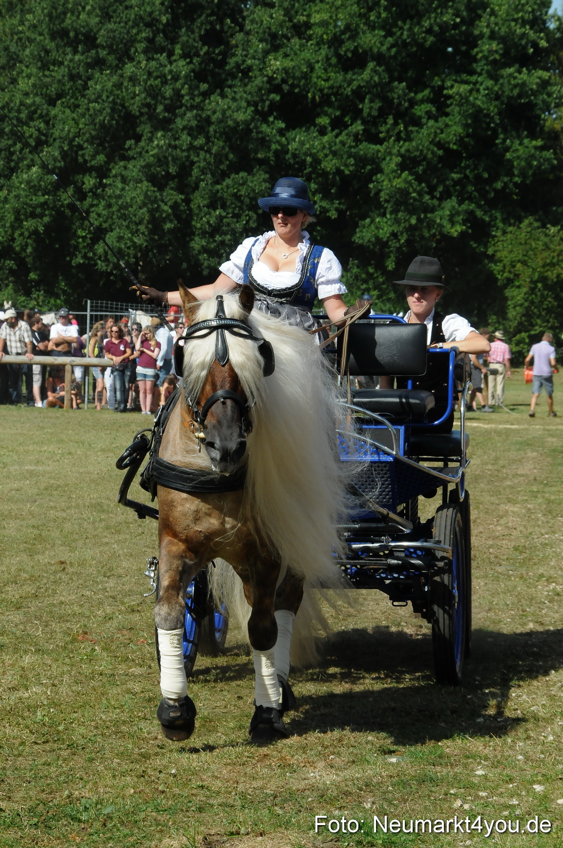 Pferde Fohlenschau 200812 0231