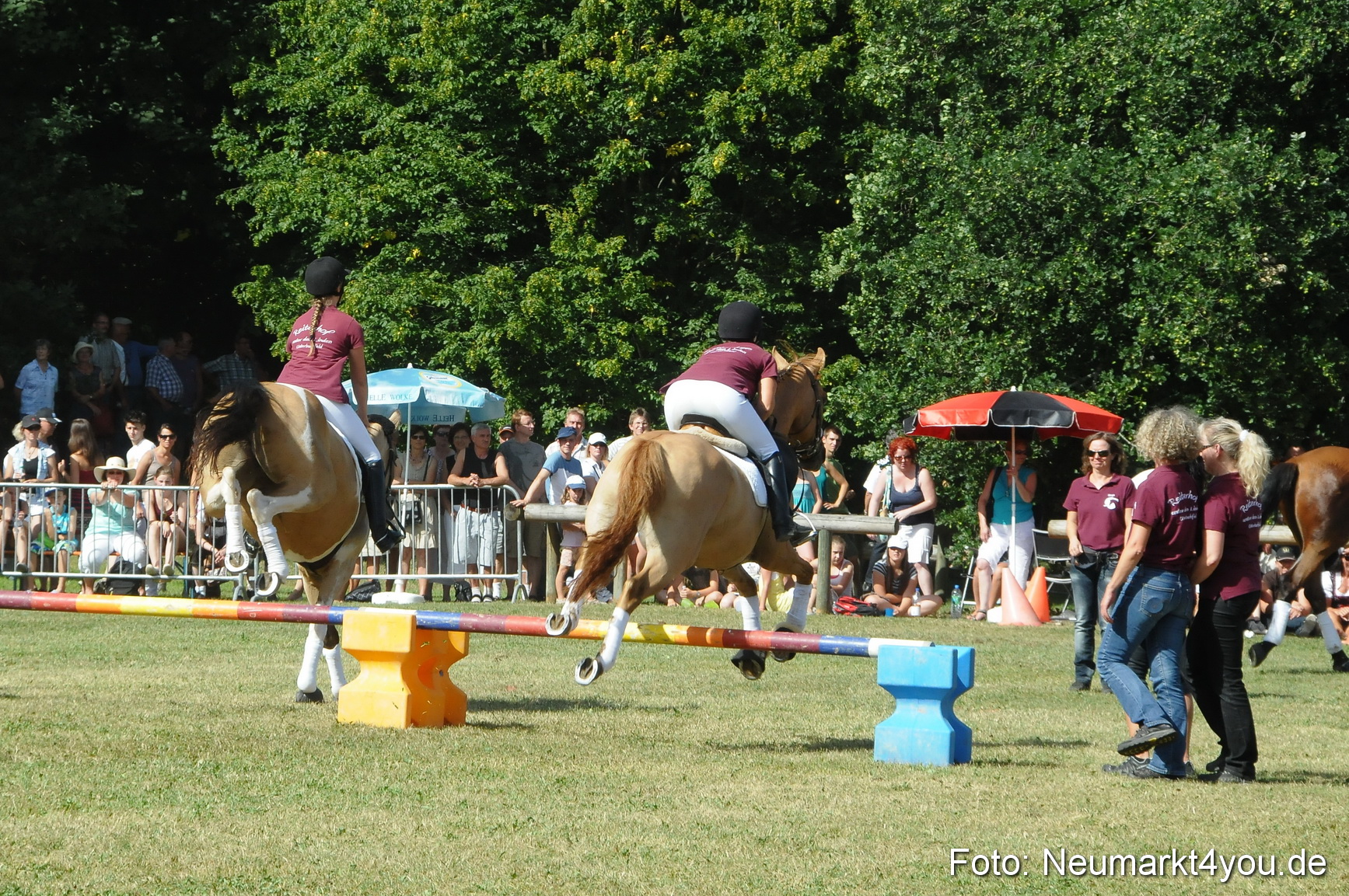 Pferde Fohlenschau 200812 0232