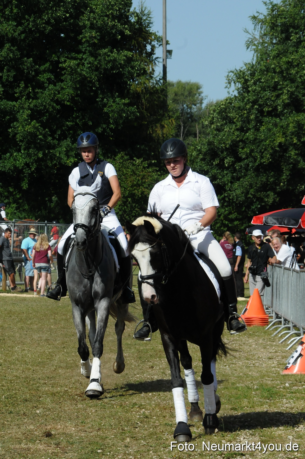 Pferde Fohlenschau 200812 0233