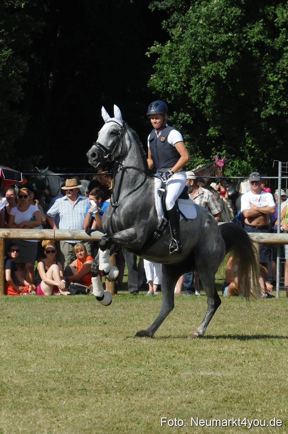 Pferde Fohlenschau 200812 0235