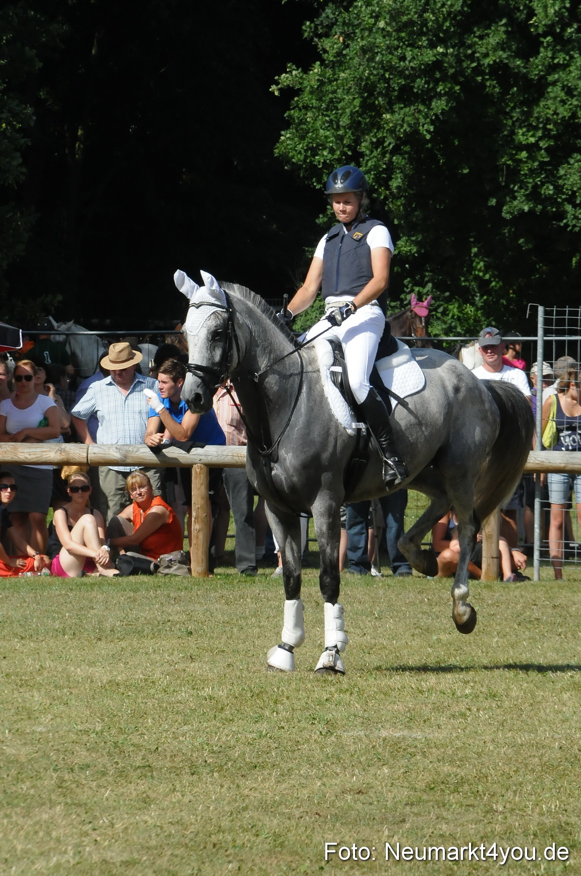 Pferde Fohlenschau 200812 0236