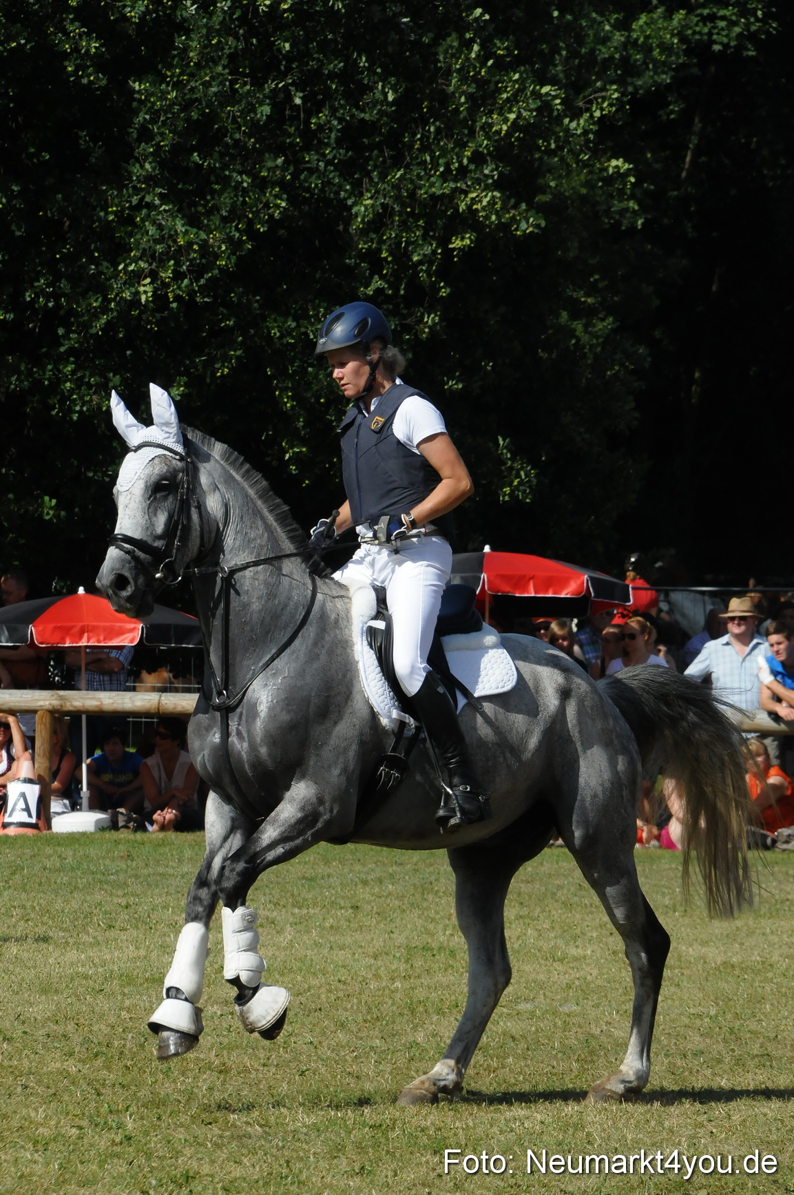 Pferde Fohlenschau 200812 0237