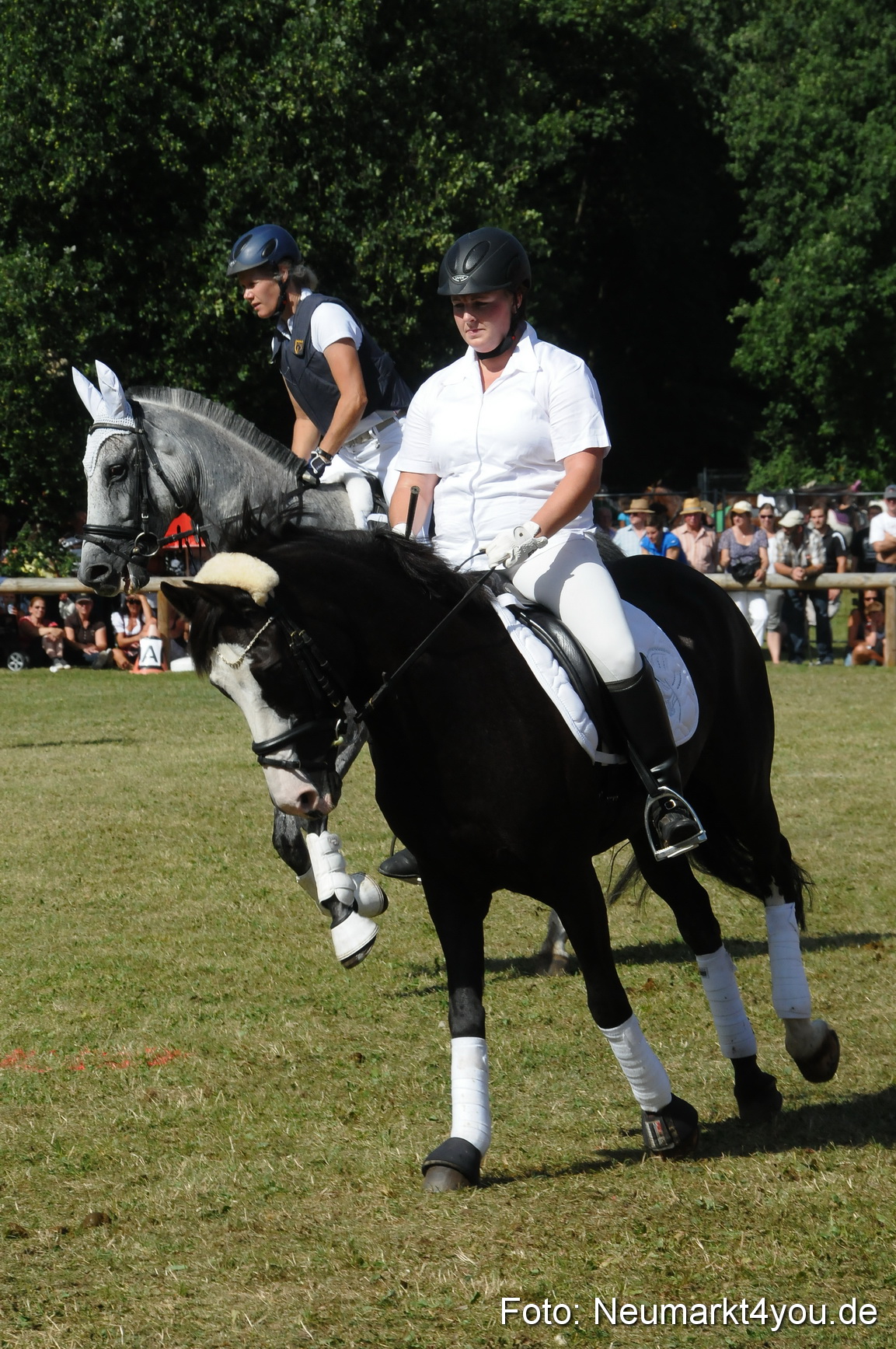 Pferde Fohlenschau 200812 0238