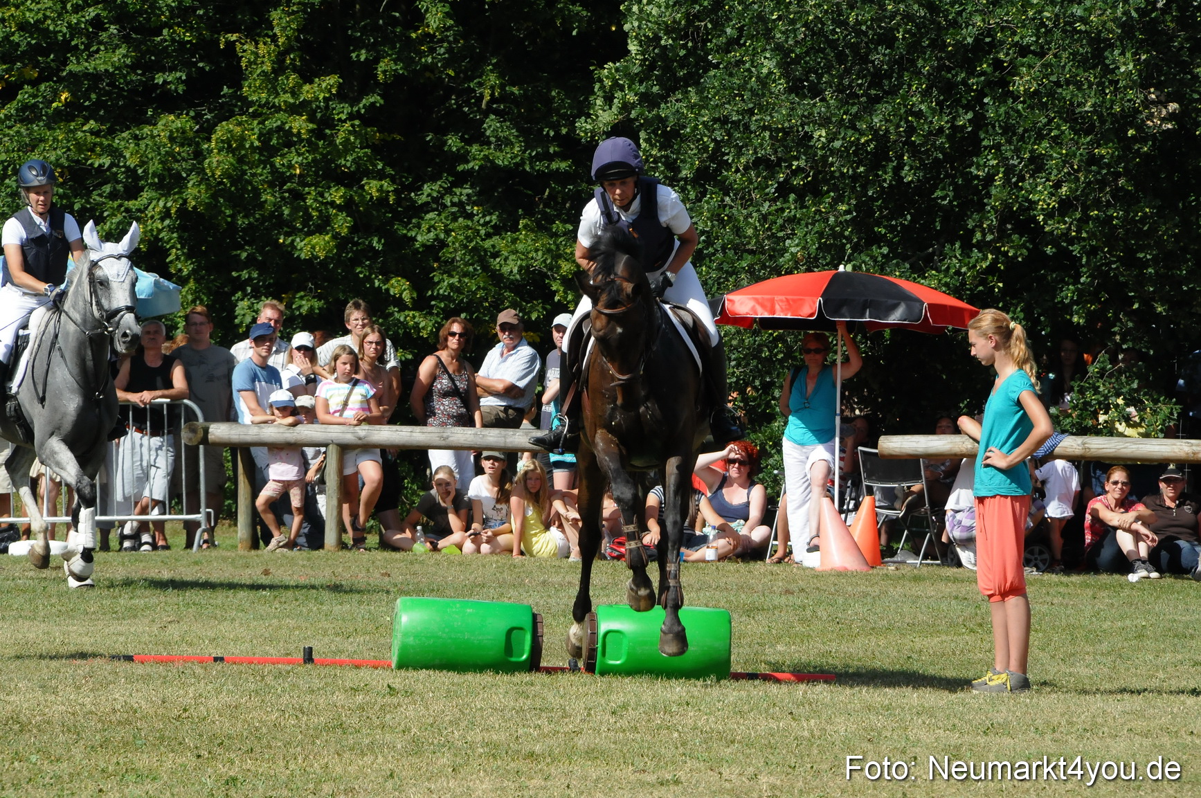 Pferde Fohlenschau 200812 0239