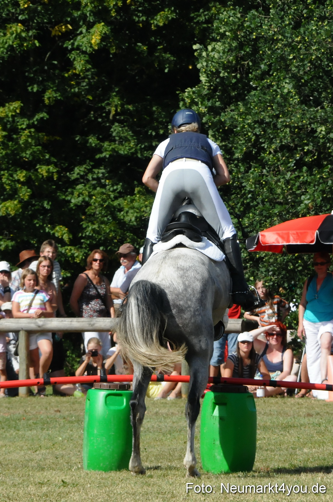 Pferde Fohlenschau 200812 0241