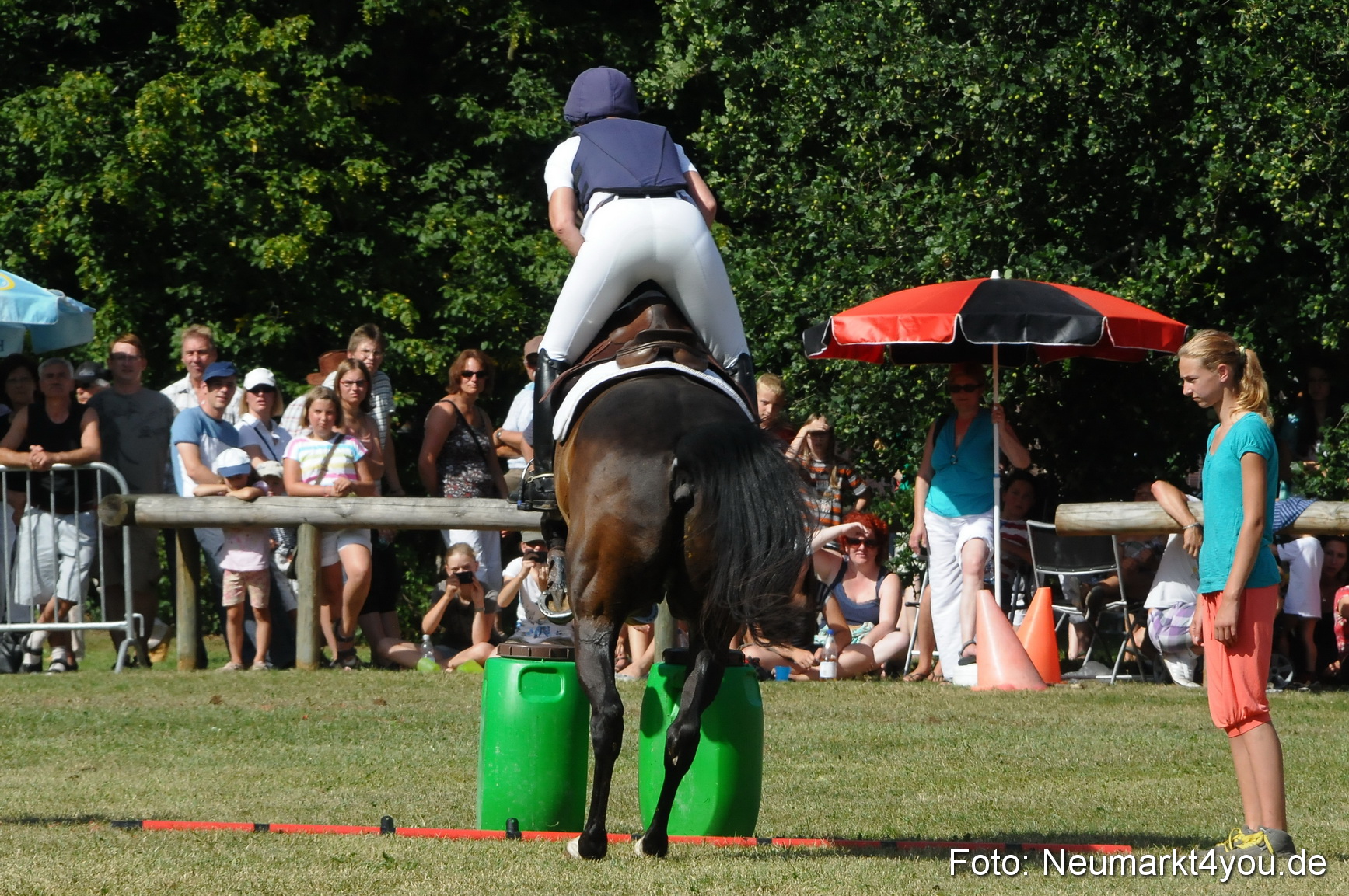 Pferde Fohlenschau 200812 0242