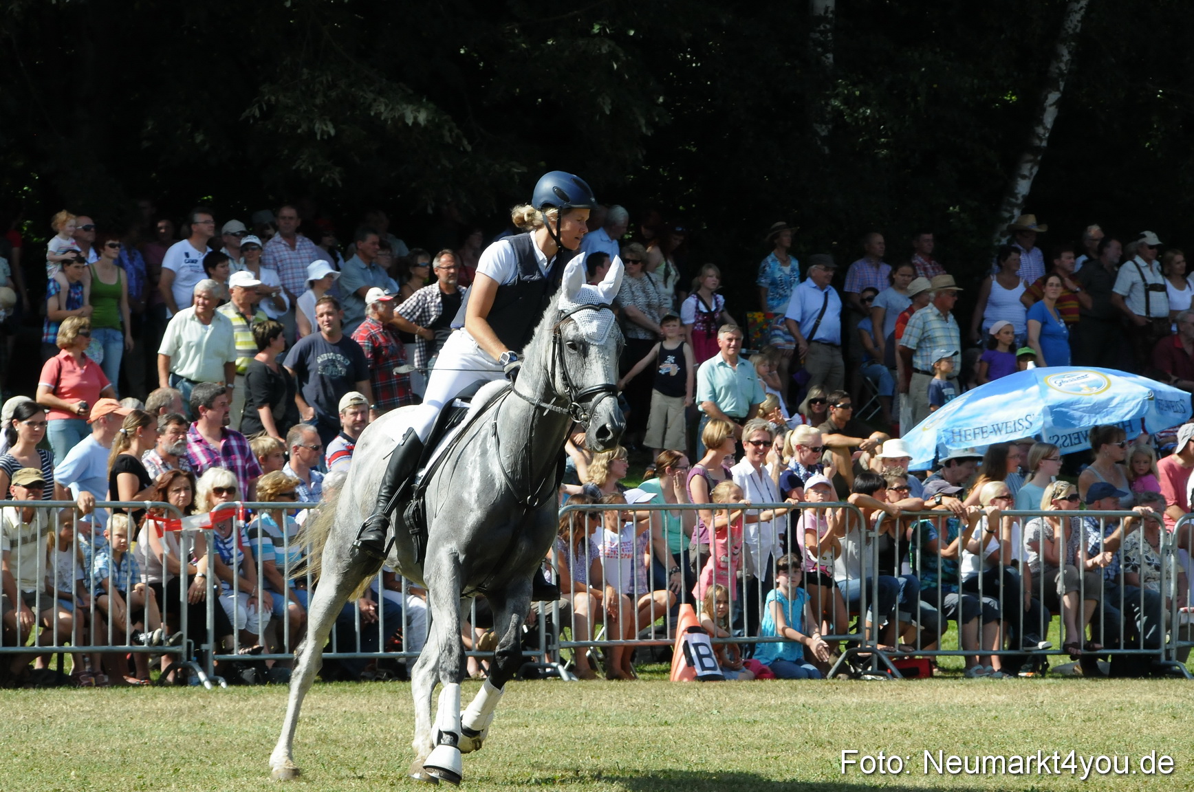 Pferde Fohlenschau 200812 0243