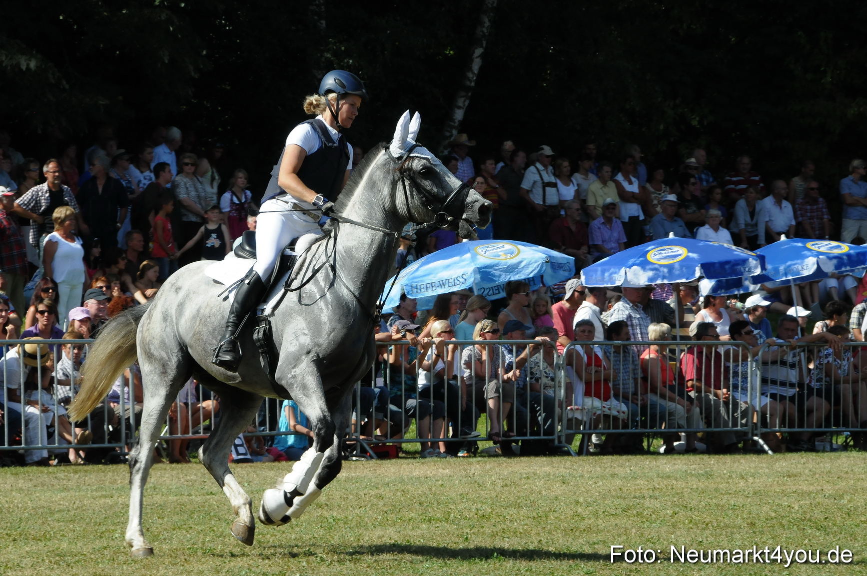 Pferde Fohlenschau 200812 0244