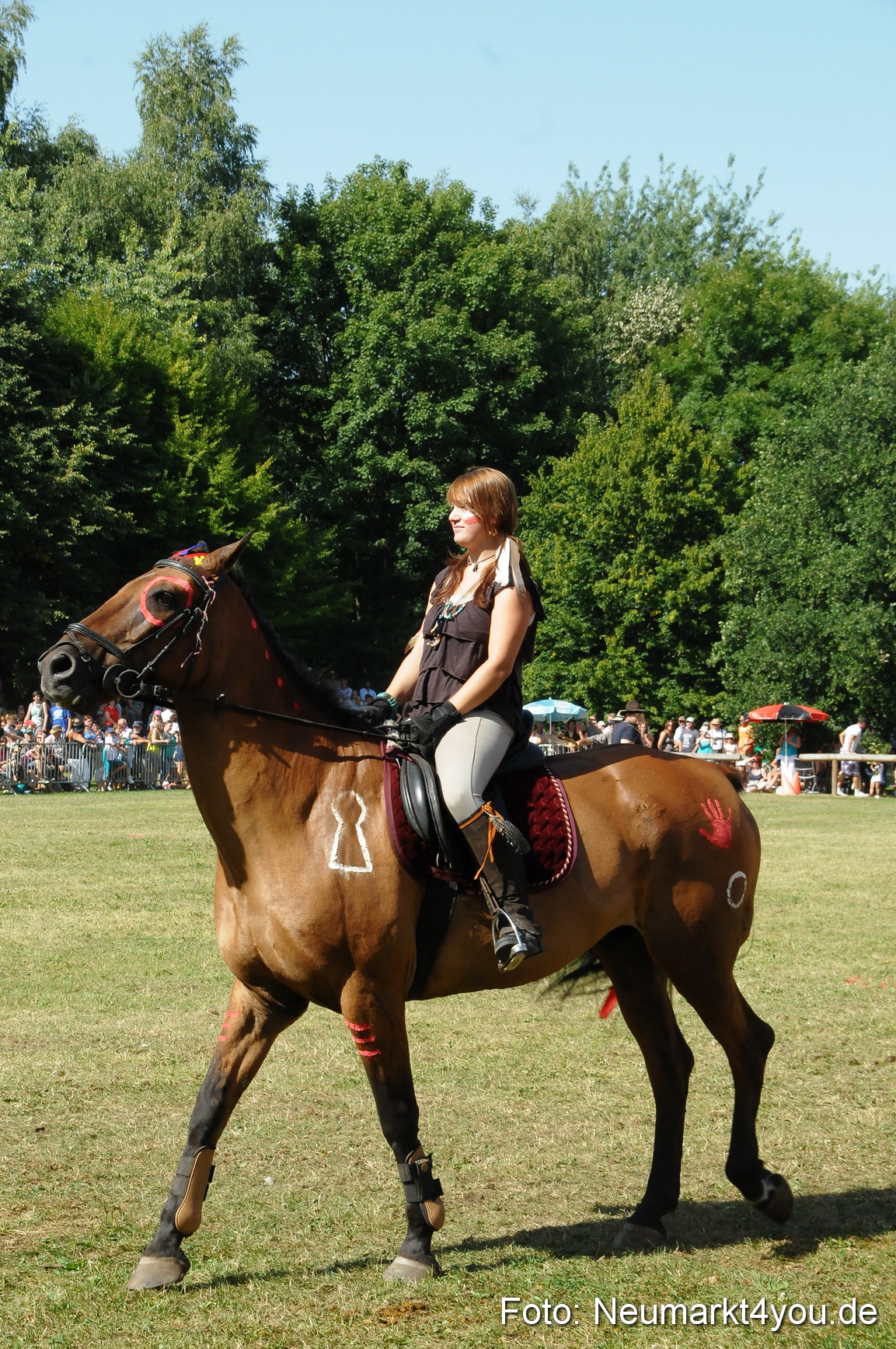 Pferde Fohlenschau 200812 0248