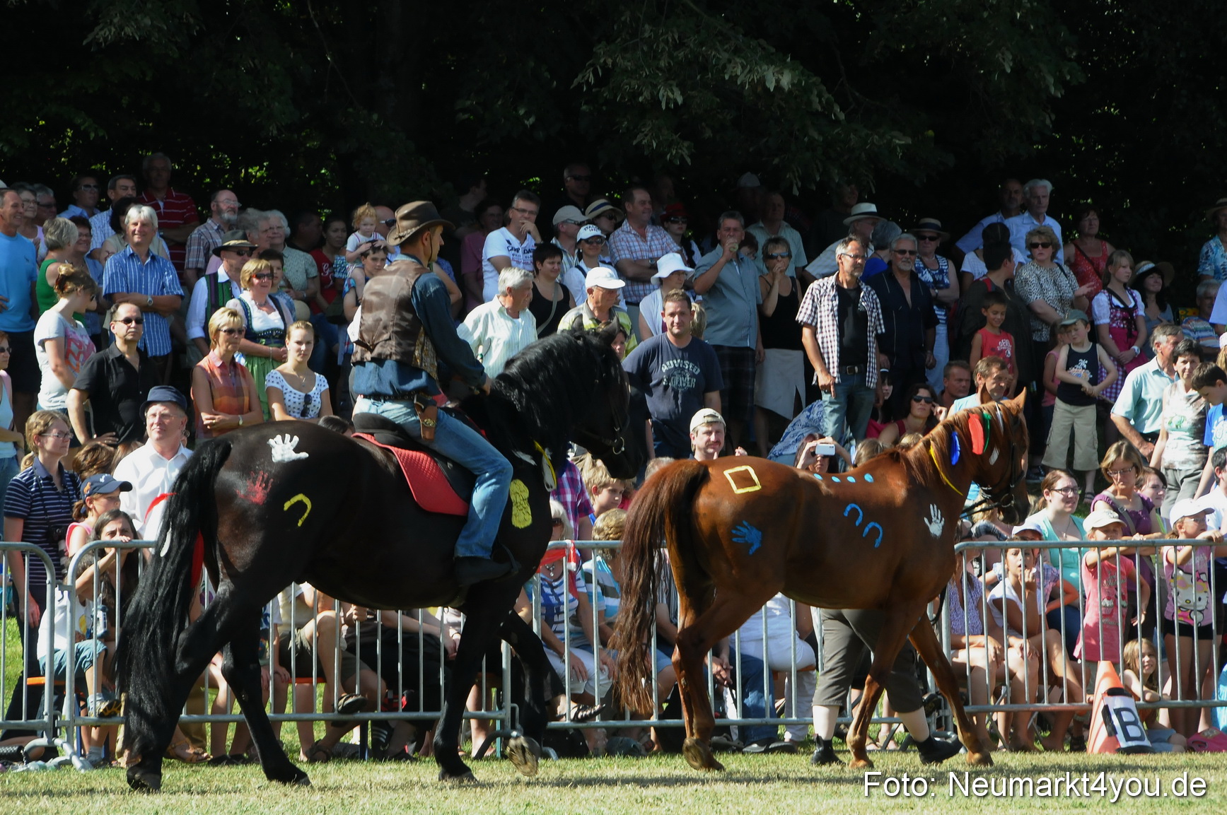 Pferde Fohlenschau 200812 0249