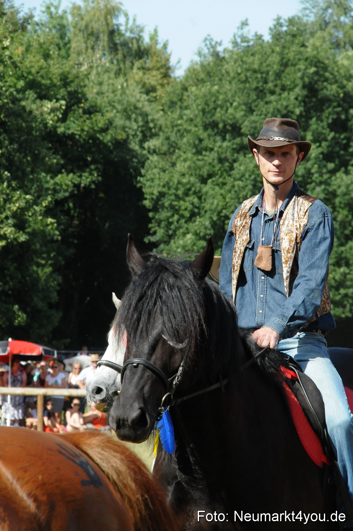Pferde Fohlenschau 200812 0251