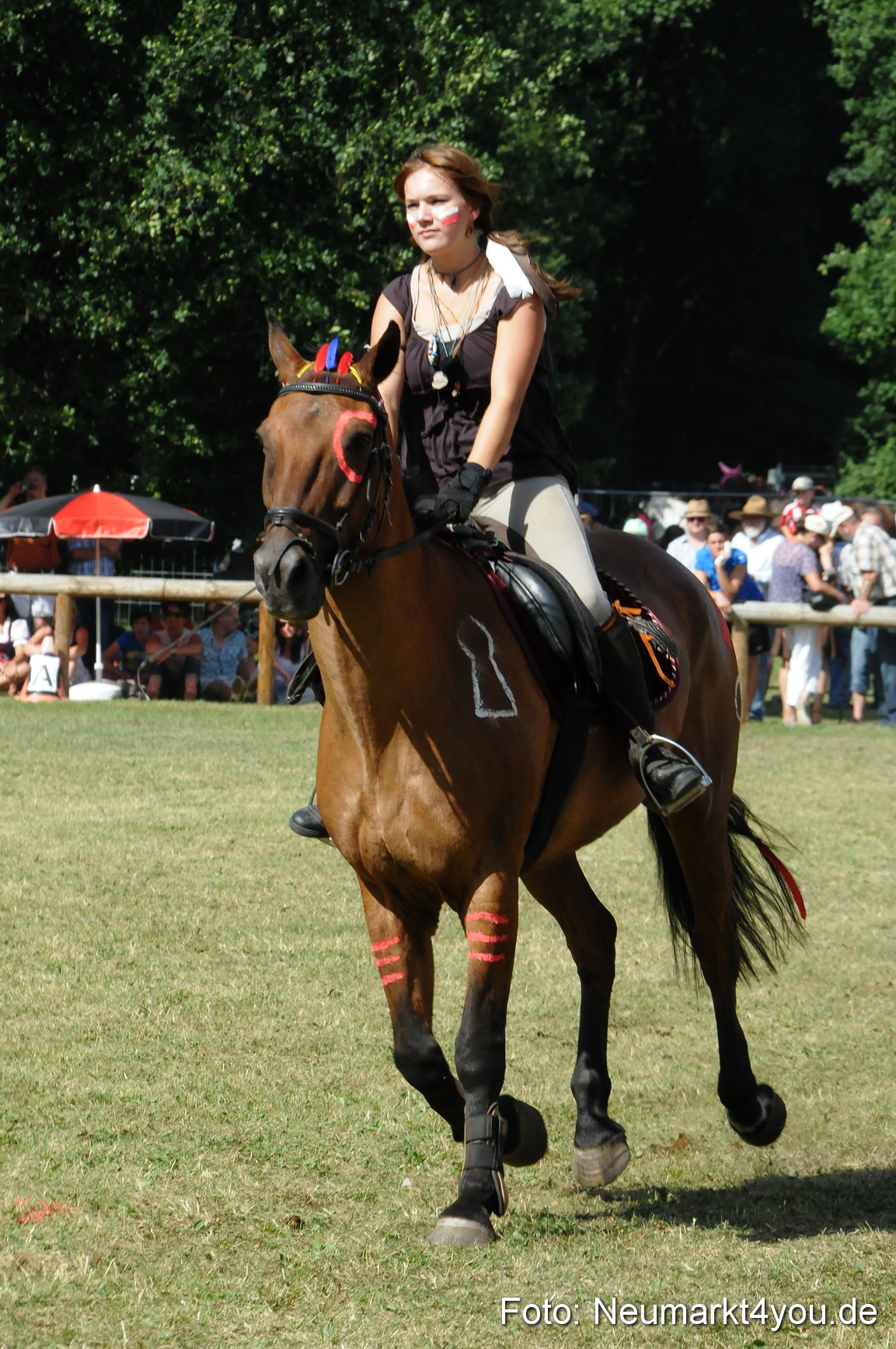 Pferde Fohlenschau 200812 0258