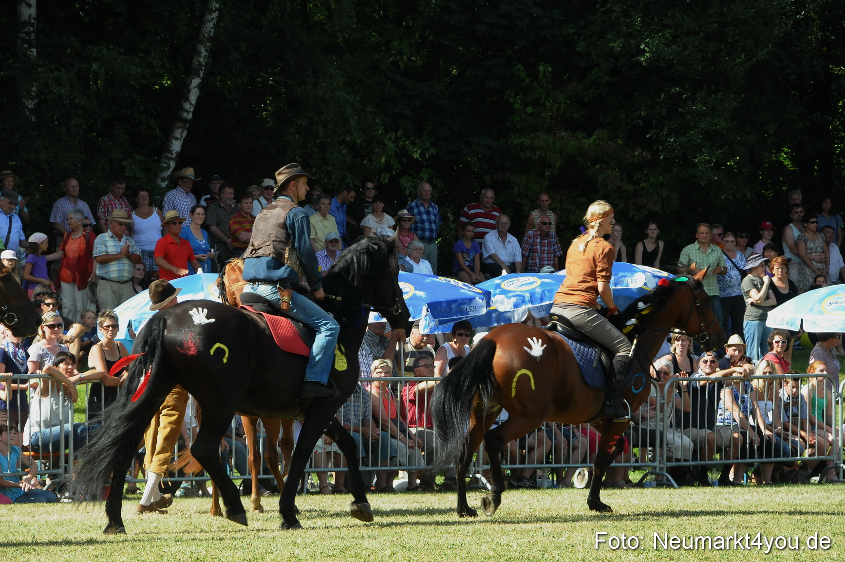 Pferde Fohlenschau 200812 0259