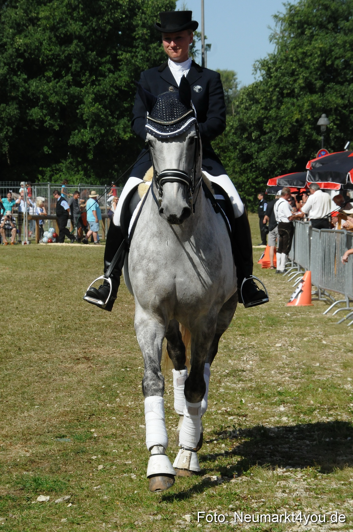 Pferde Fohlenschau 200812 0261