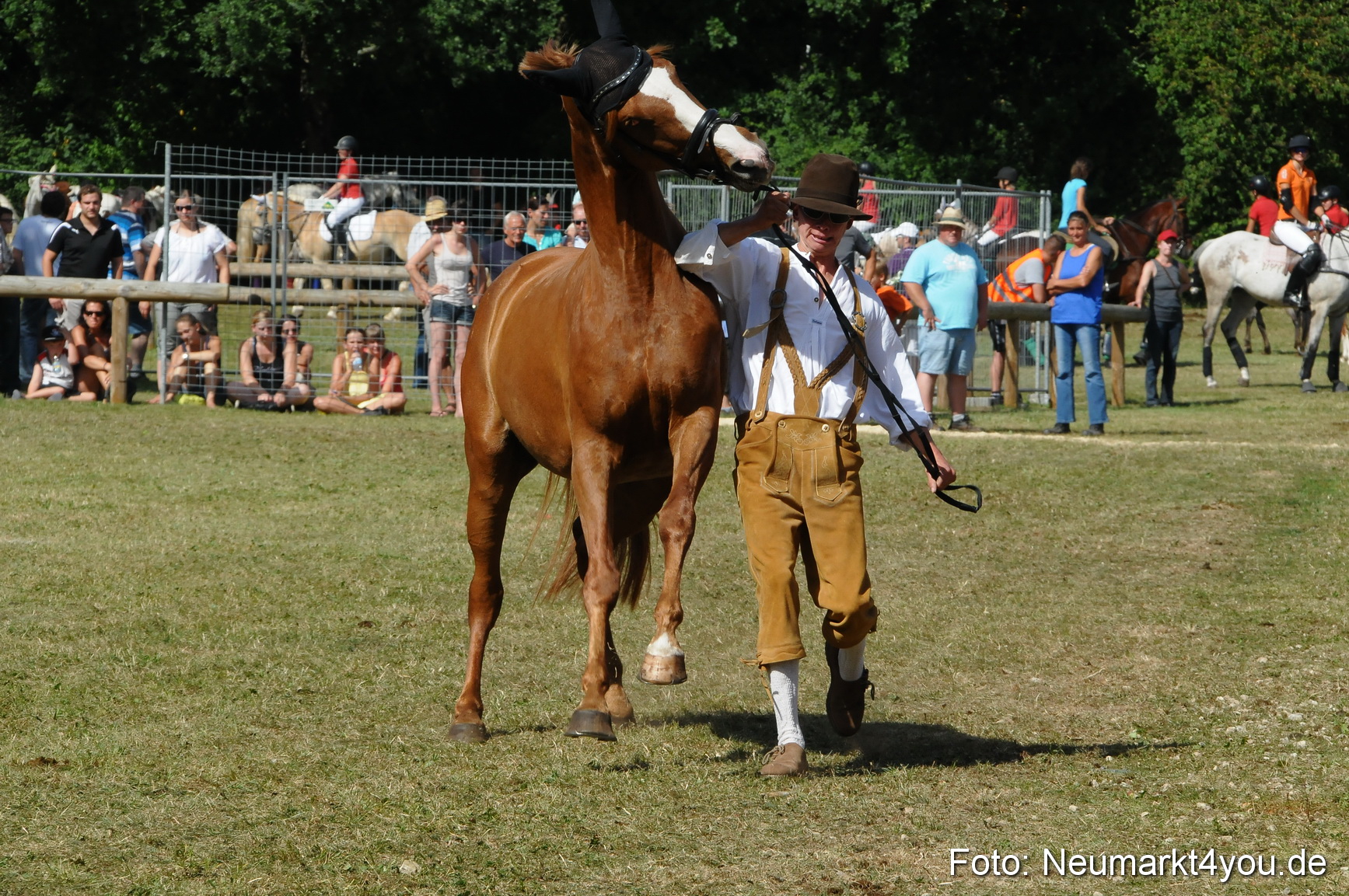 Pferde Fohlenschau 200812 0263