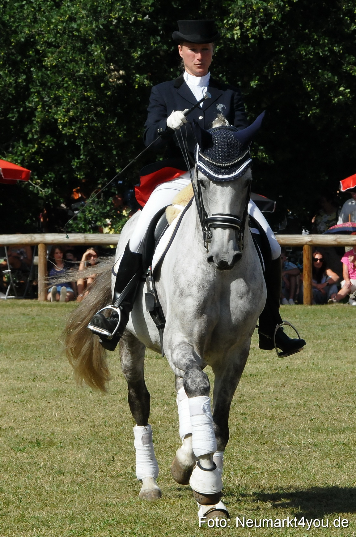 Pferde Fohlenschau 200812 0264