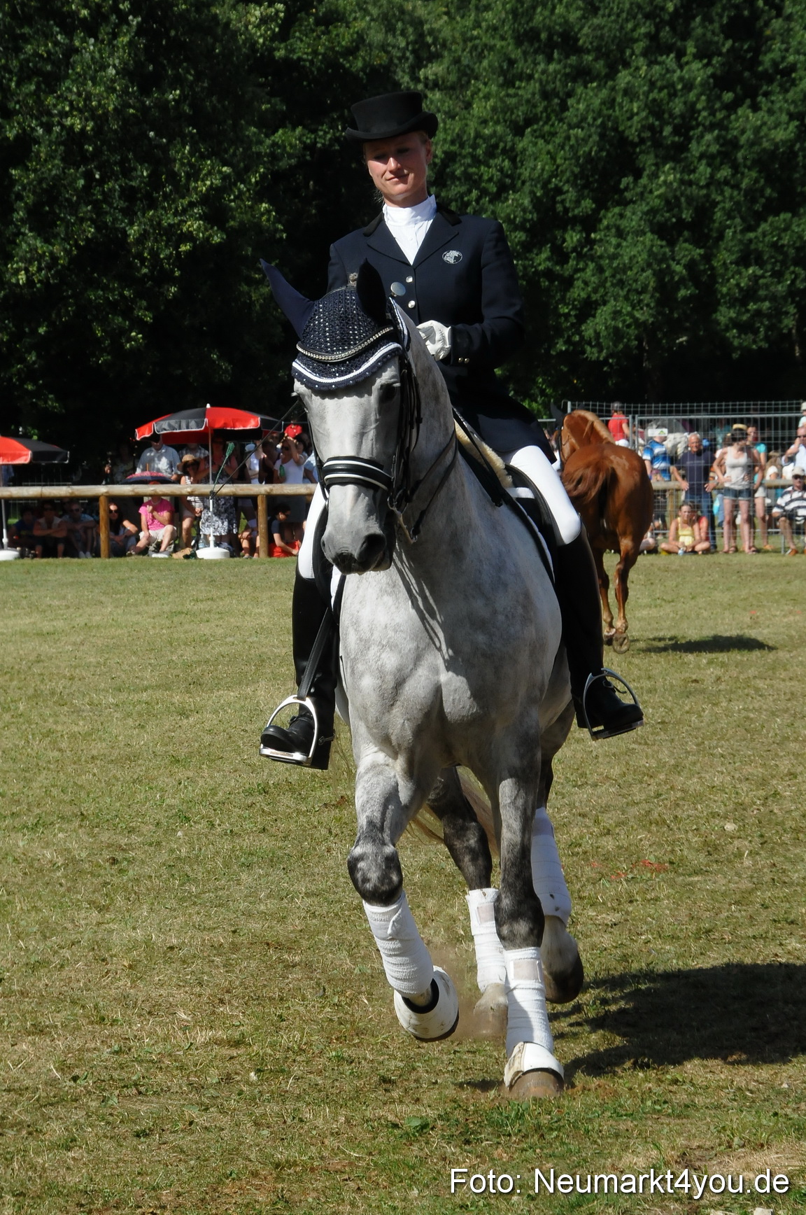 Pferde Fohlenschau 200812 0265