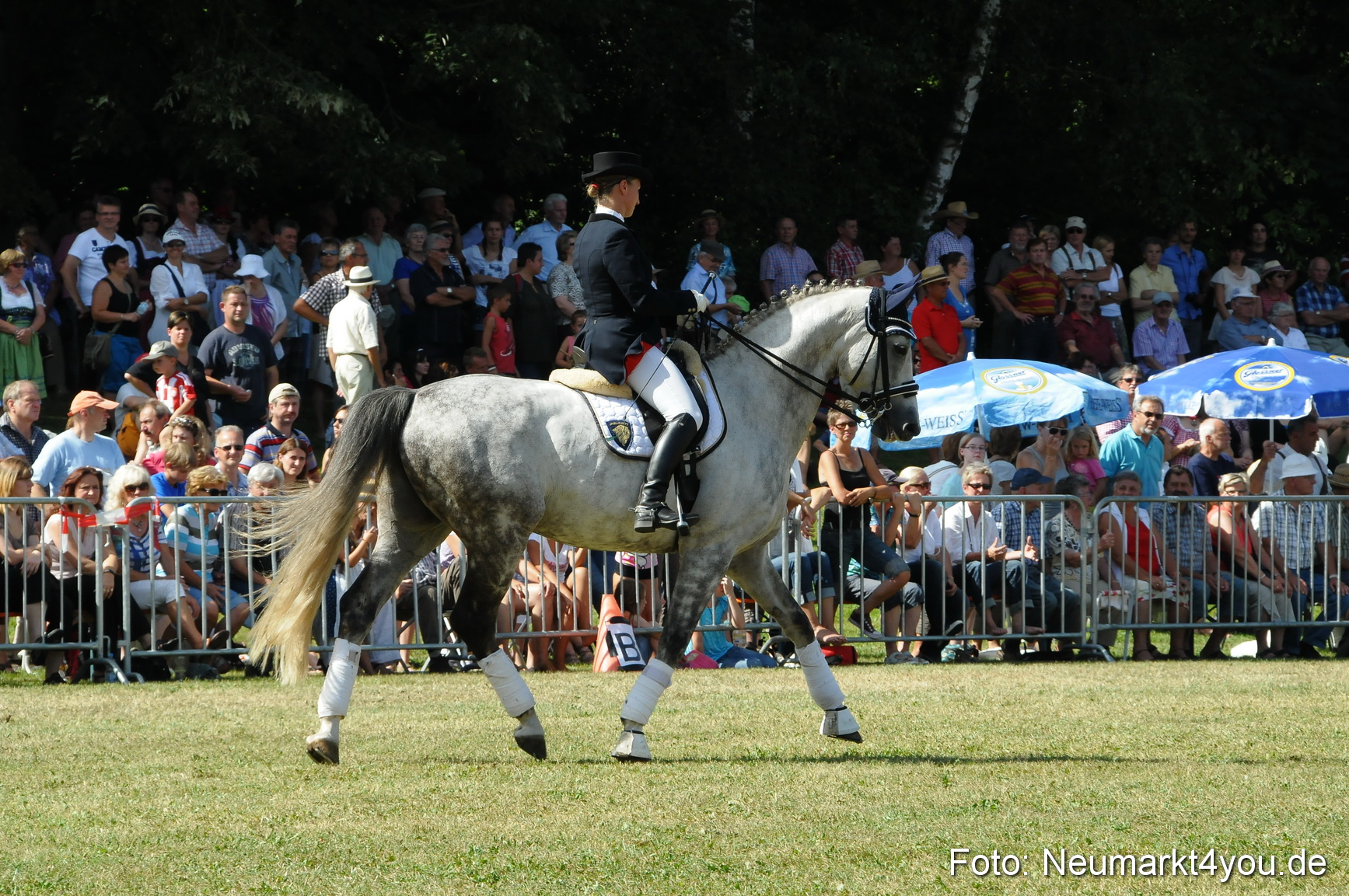 Pferde Fohlenschau 200812 0266