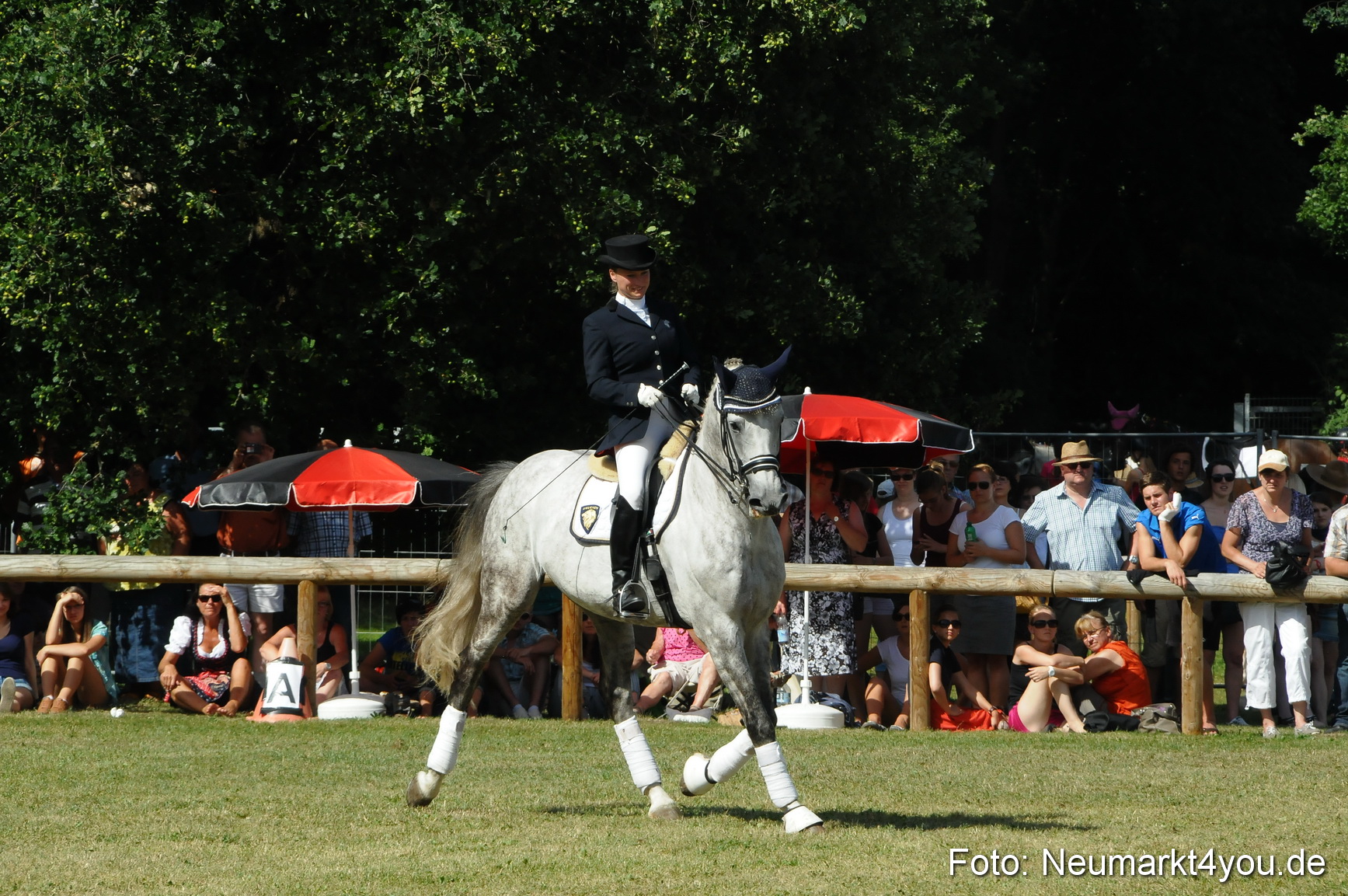 Pferde Fohlenschau 200812 0267