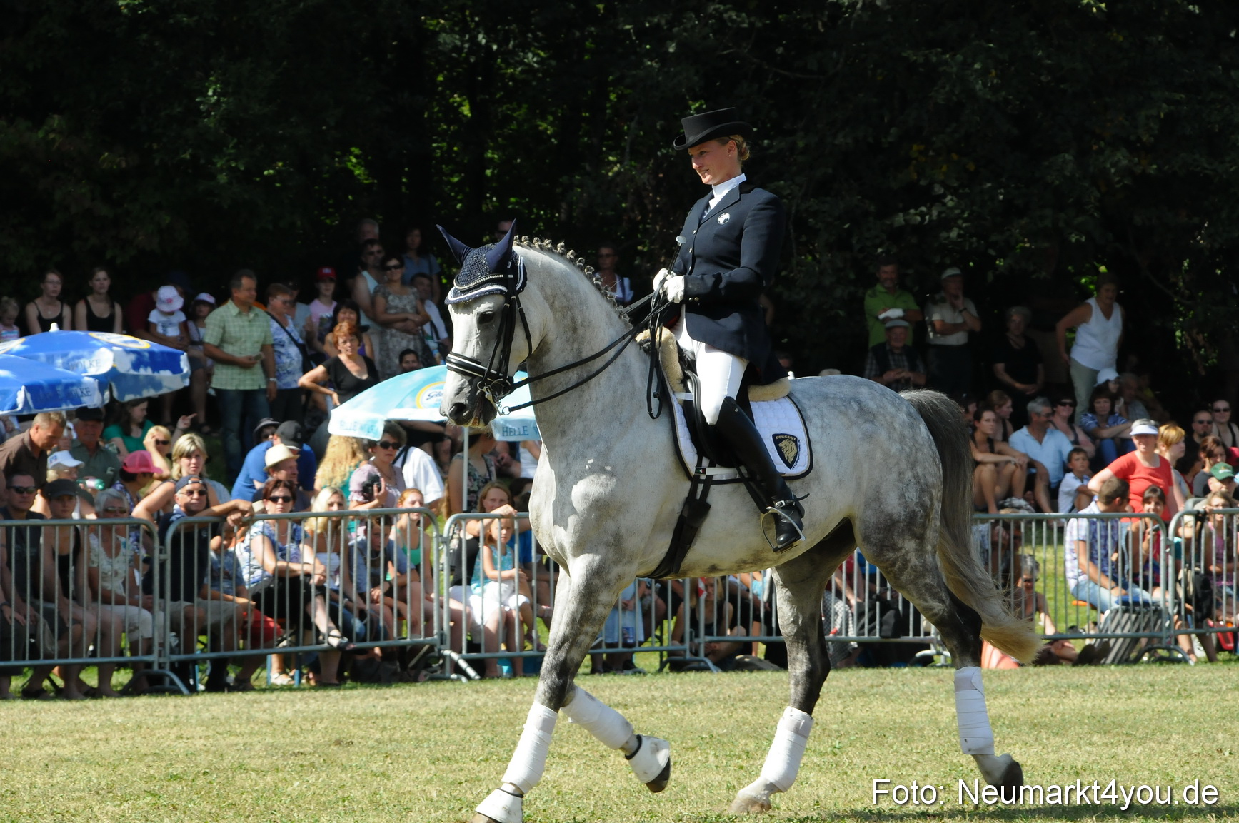 Pferde Fohlenschau 200812 0268