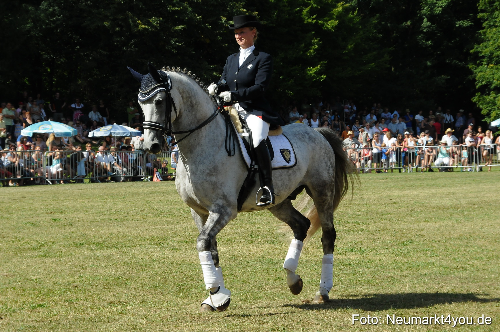 Pferde Fohlenschau 200812 0269