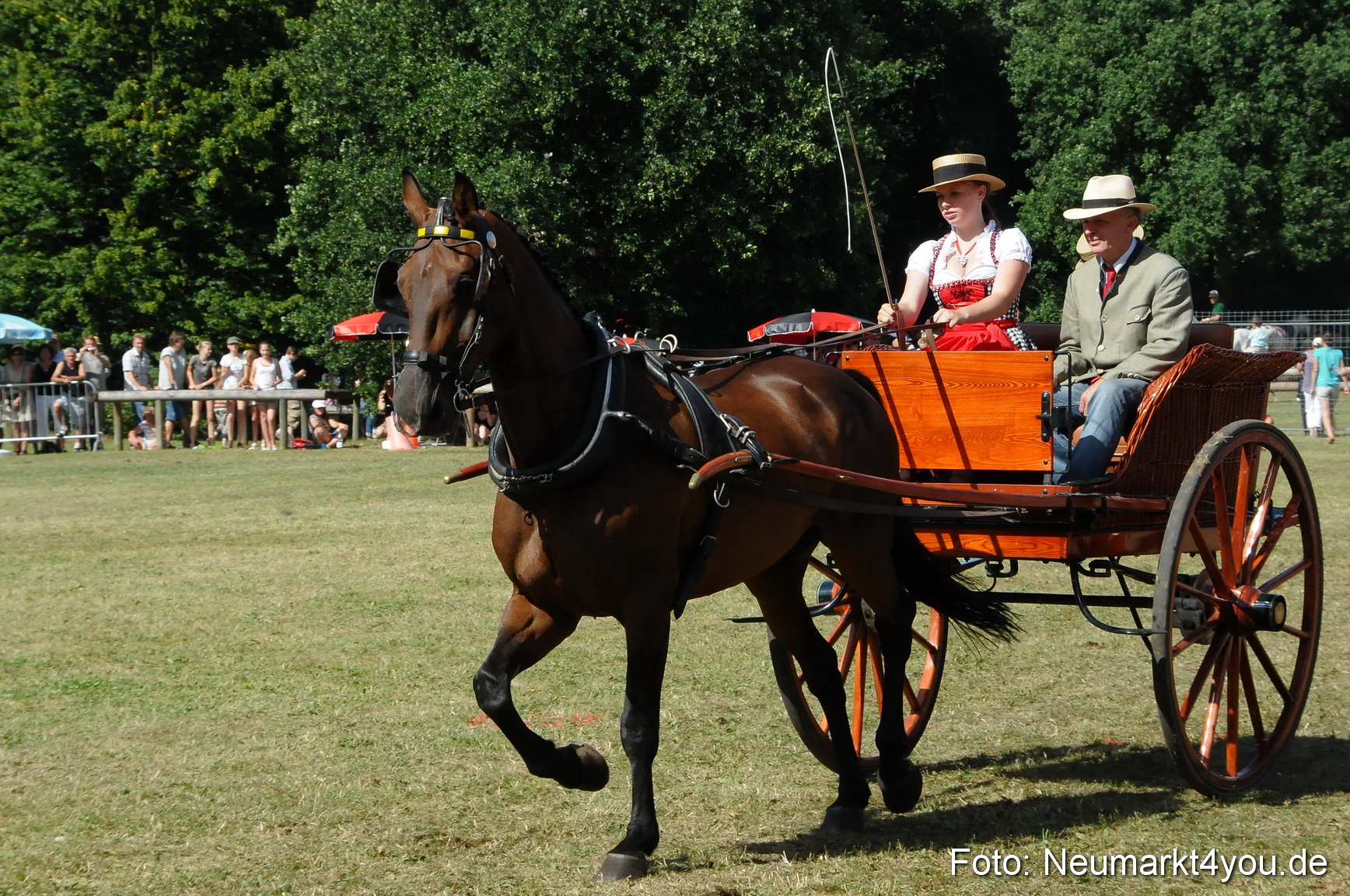Pferde Fohlenschau 200812 0270