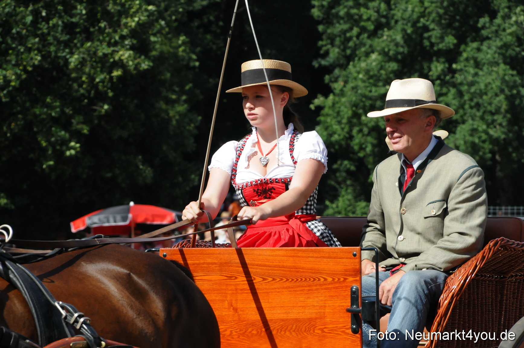 Pferde Fohlenschau 200812 0271