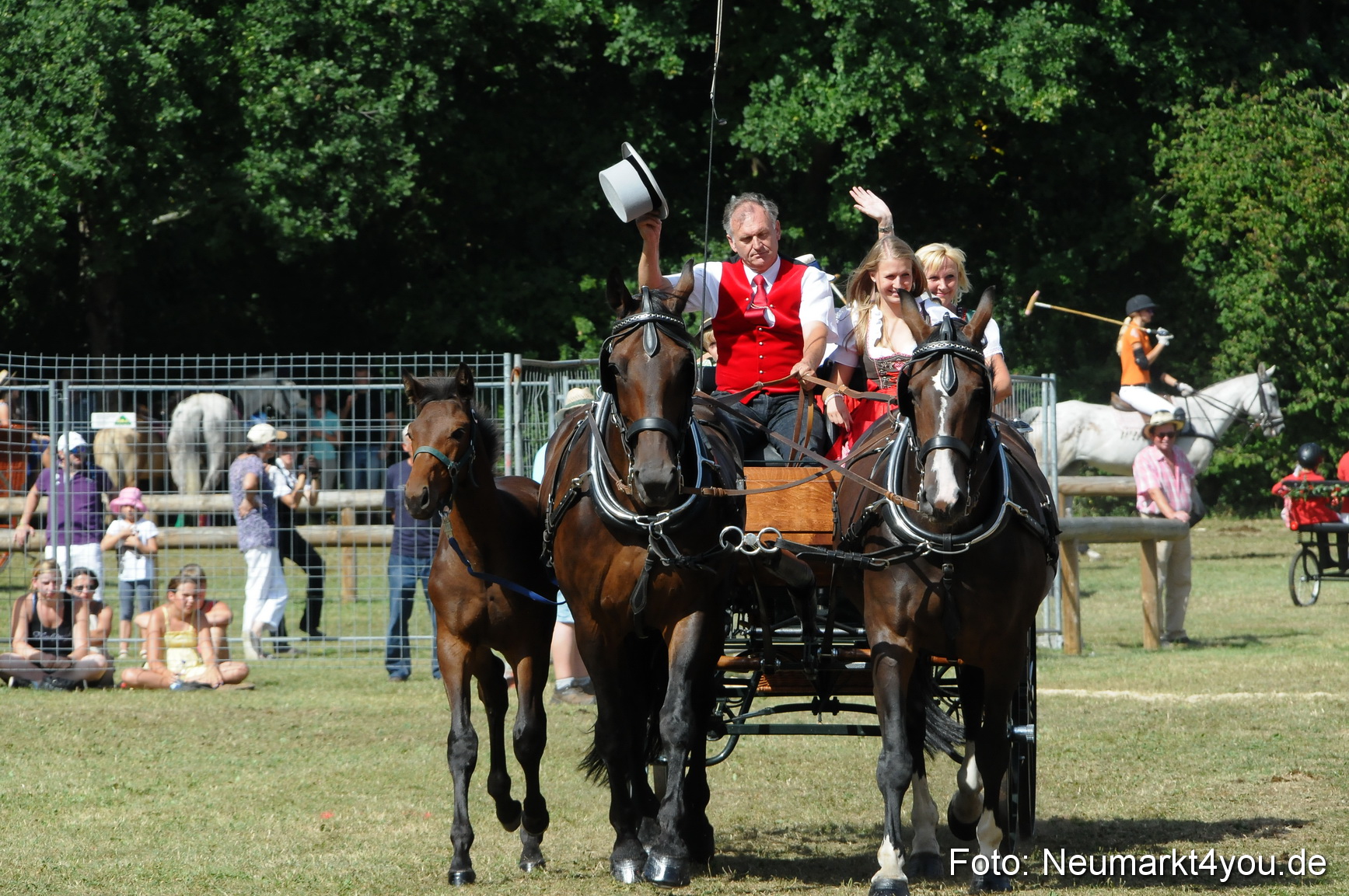 Pferde Fohlenschau 200812 0272
