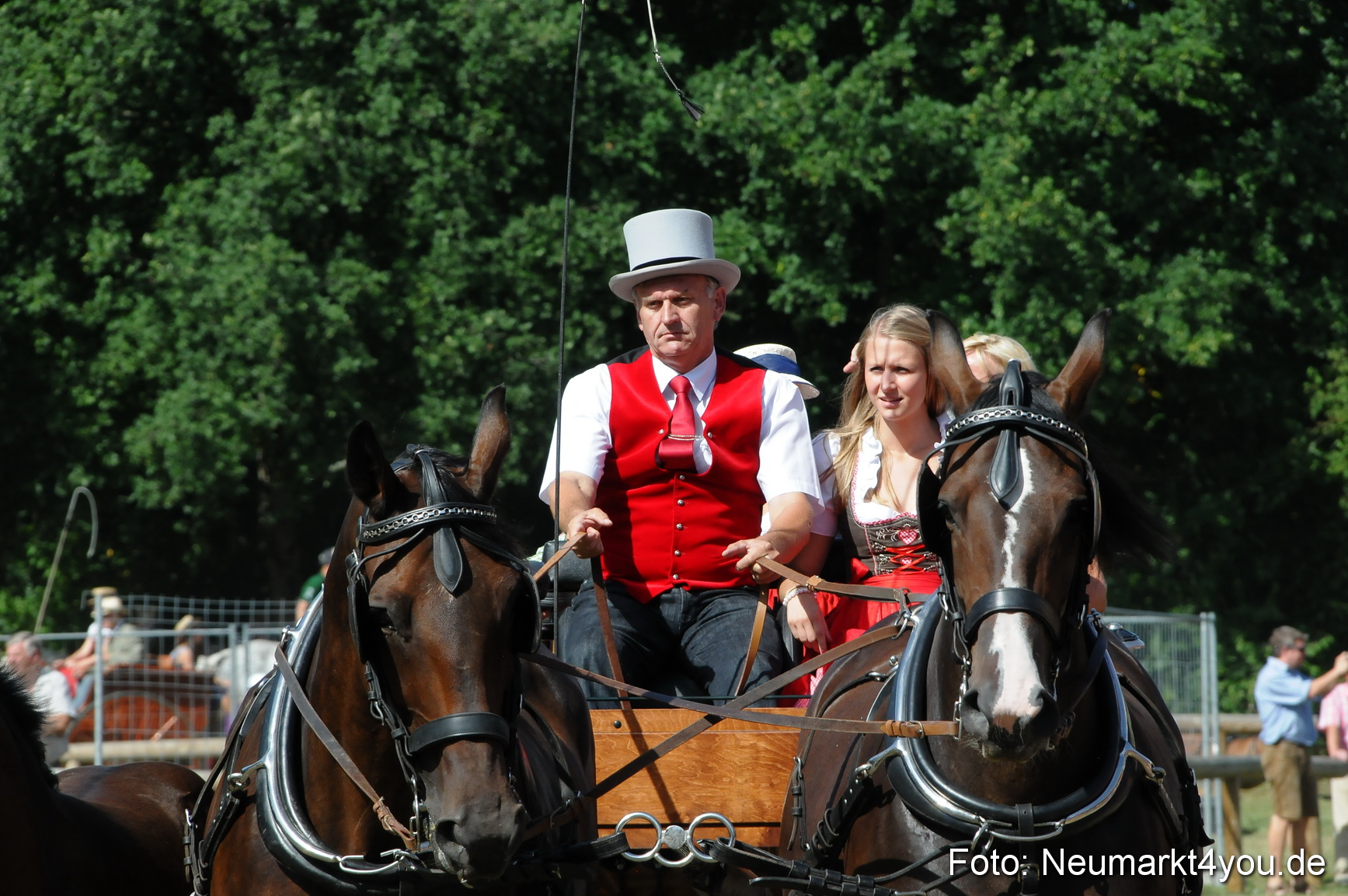 Pferde Fohlenschau 200812 0273