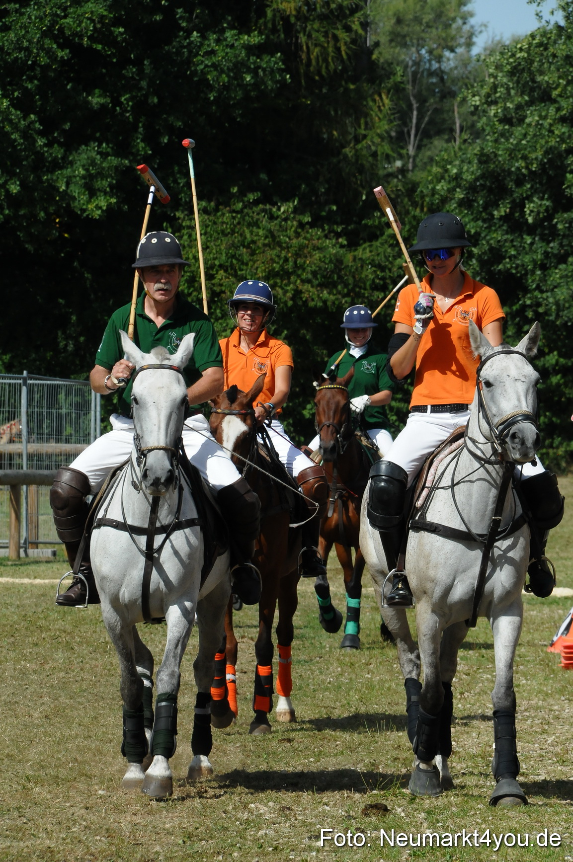 Pferde Fohlenschau 200812 0276