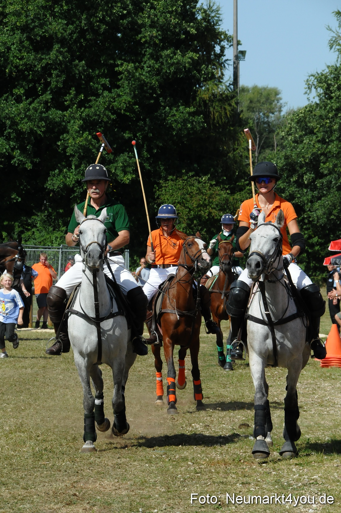 Pferde Fohlenschau 200812 0277