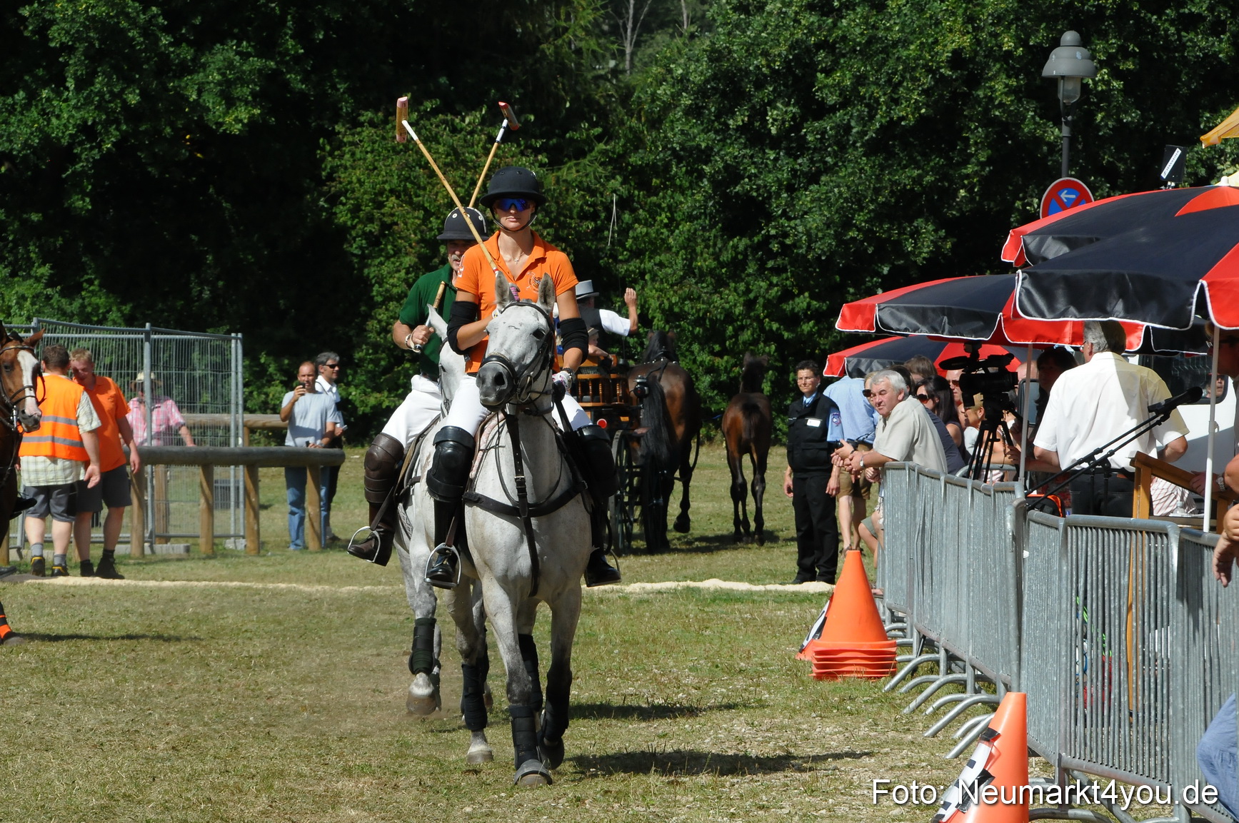Pferde Fohlenschau 200812 0278