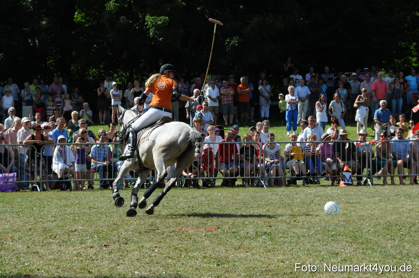 Pferde Fohlenschau 200812 0279