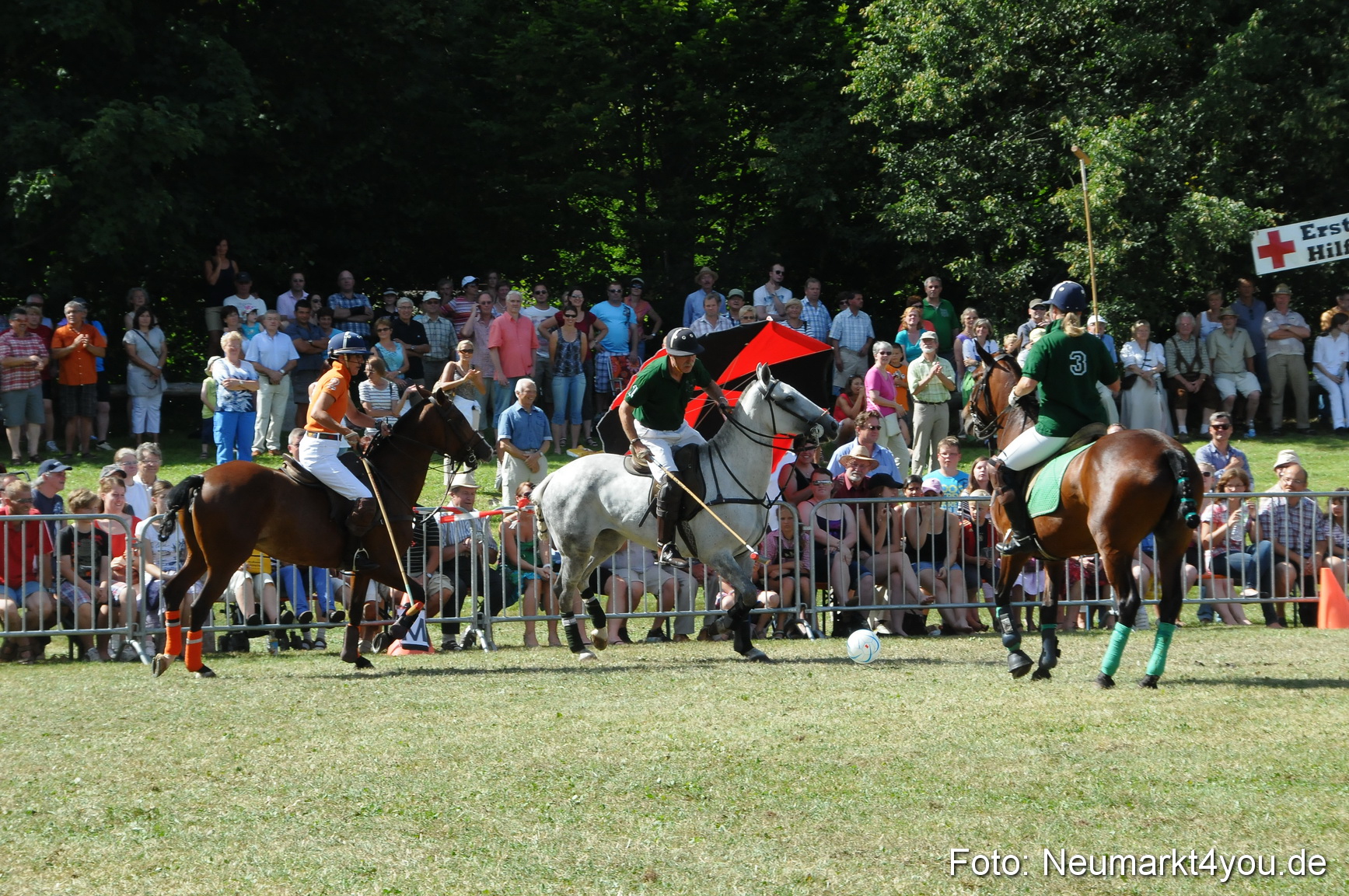 Pferde Fohlenschau 200812 0280
