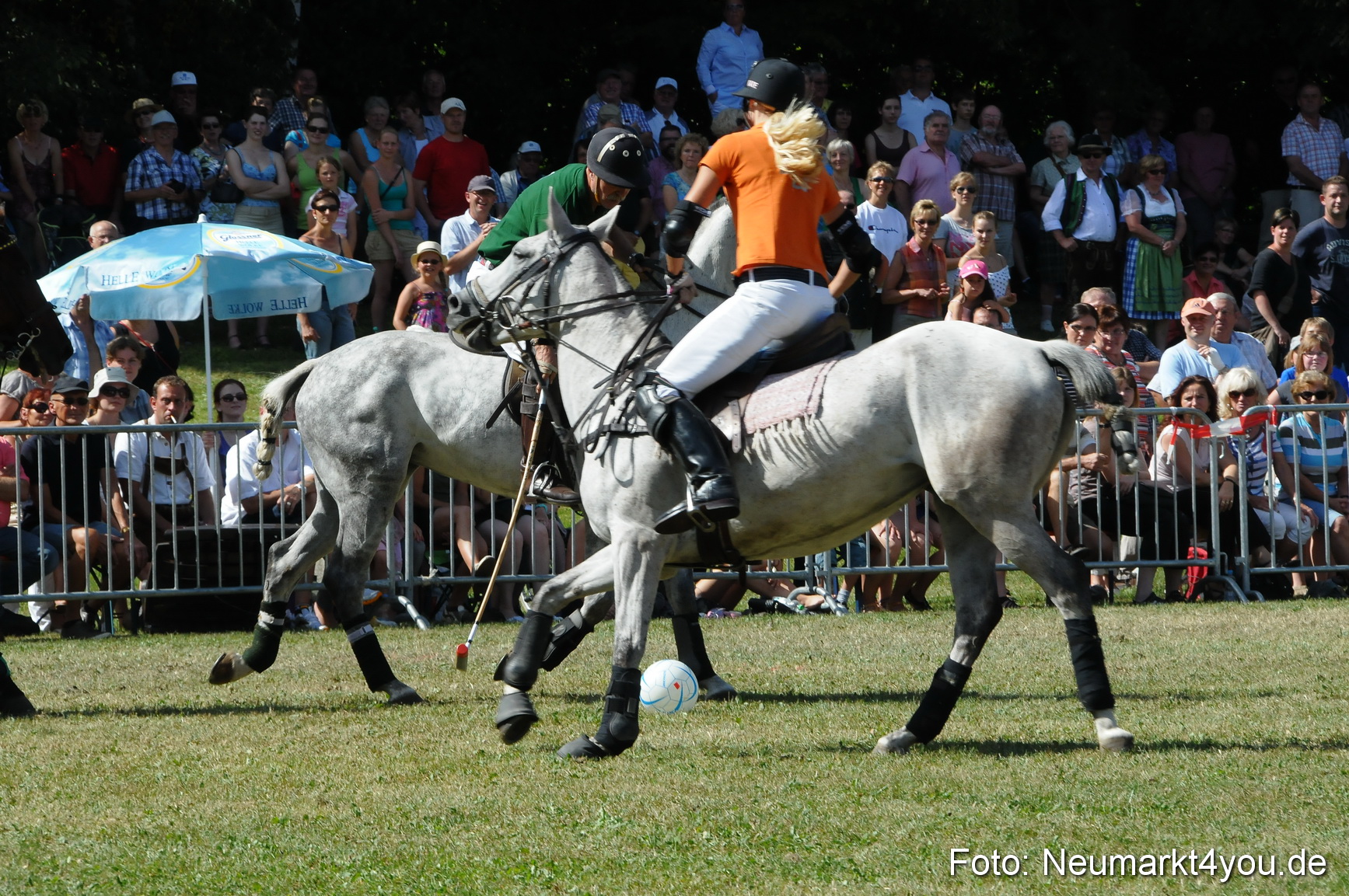 Pferde Fohlenschau 200812 0281