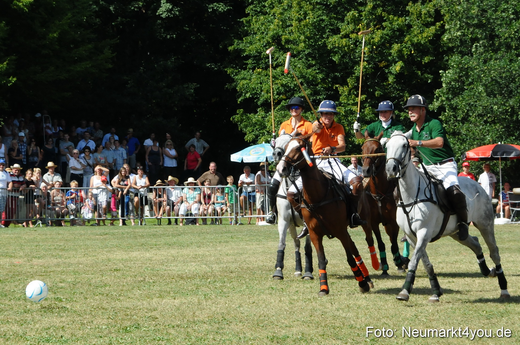 Pferde Fohlenschau 200812 0282