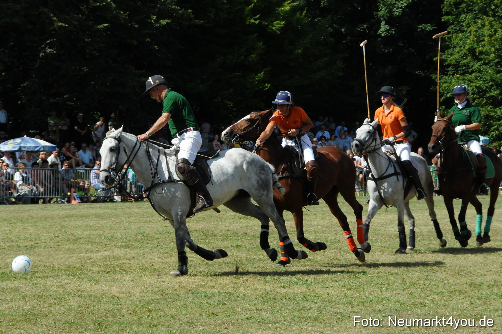 Pferde Fohlenschau 200812 0283