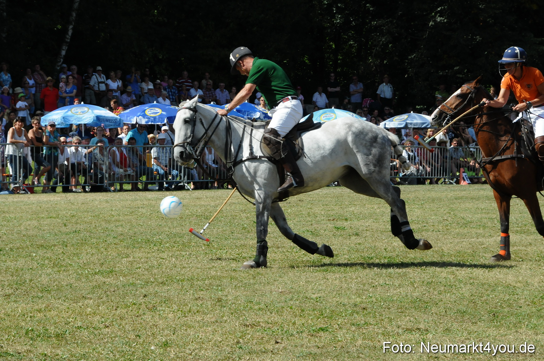 Pferde Fohlenschau 200812 0284