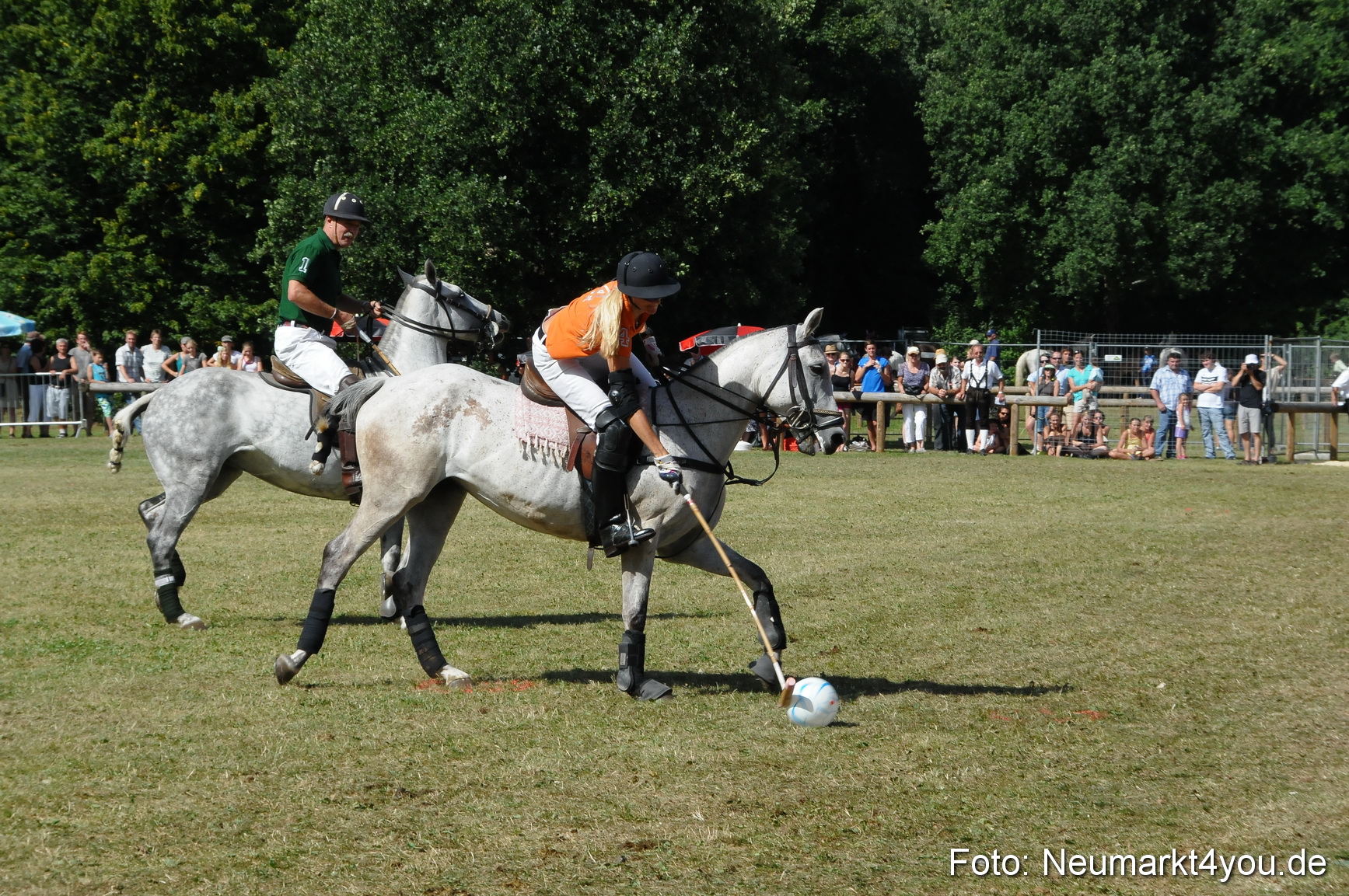 Pferde Fohlenschau 200812 0285