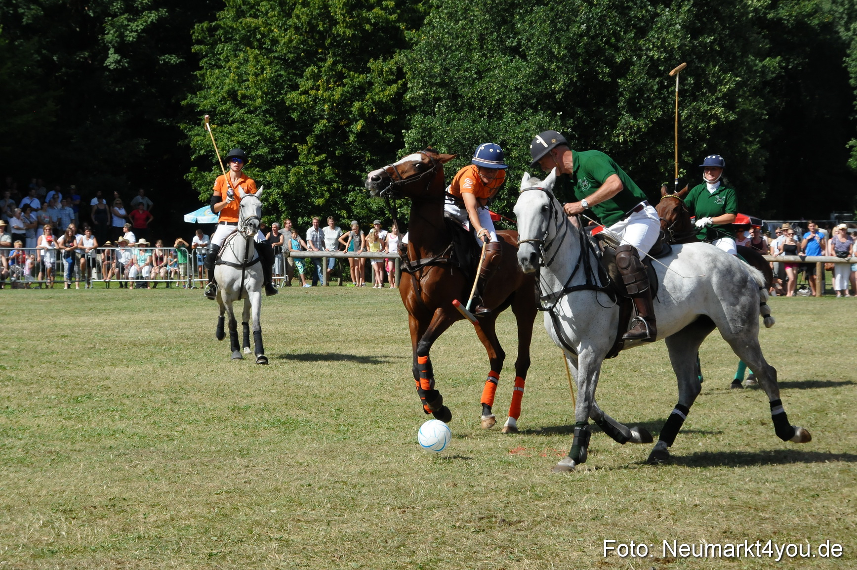 Pferde Fohlenschau 200812 0286