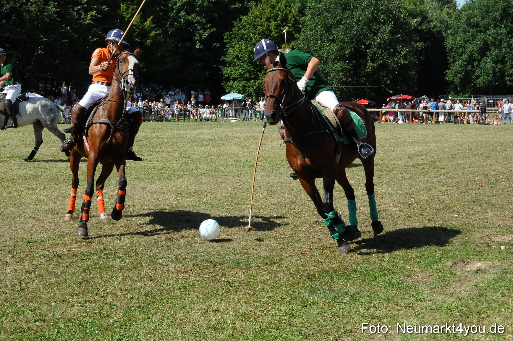 Pferde Fohlenschau 200812 0287
