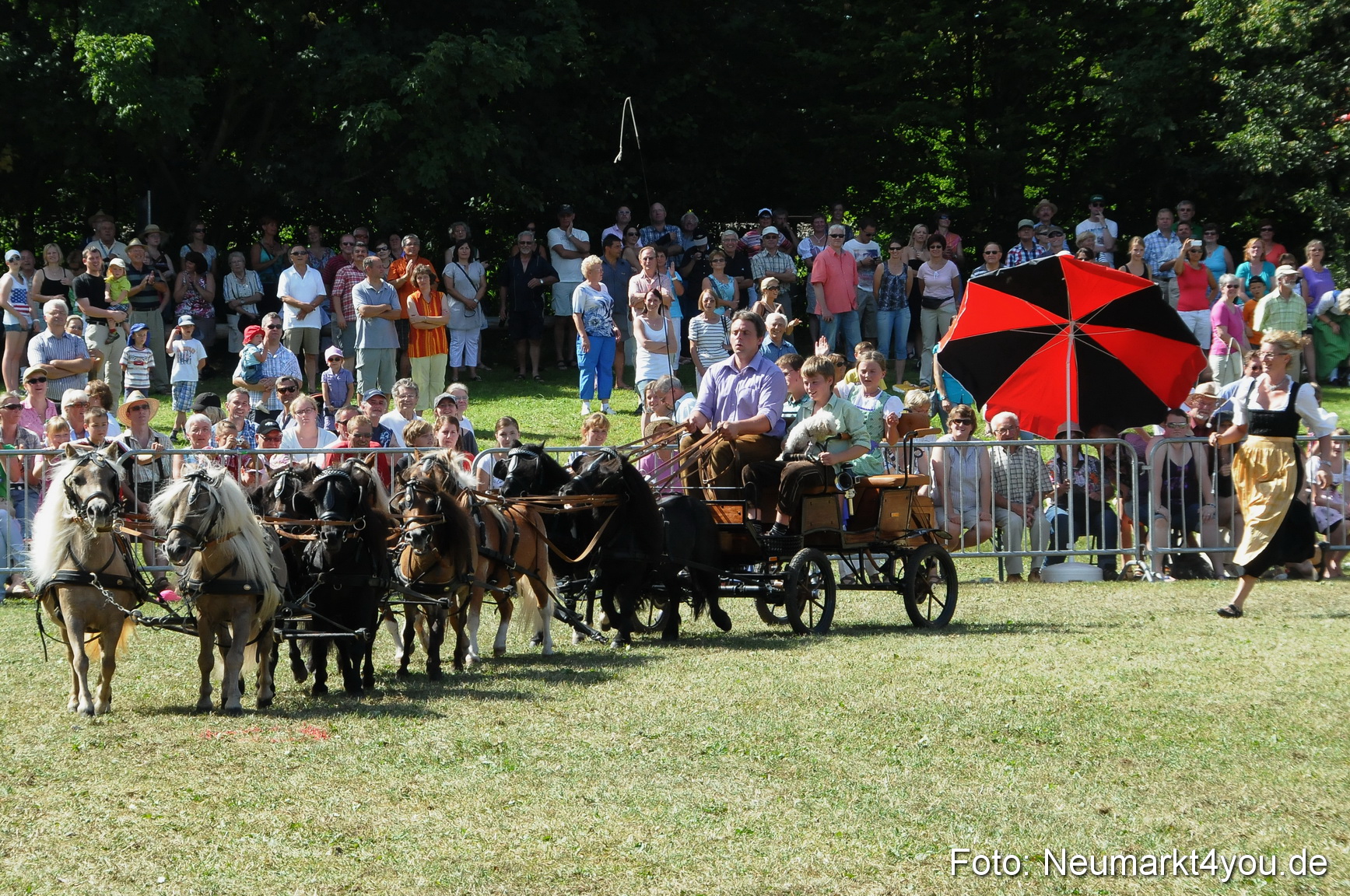 Pferde Fohlenschau 200812 0288