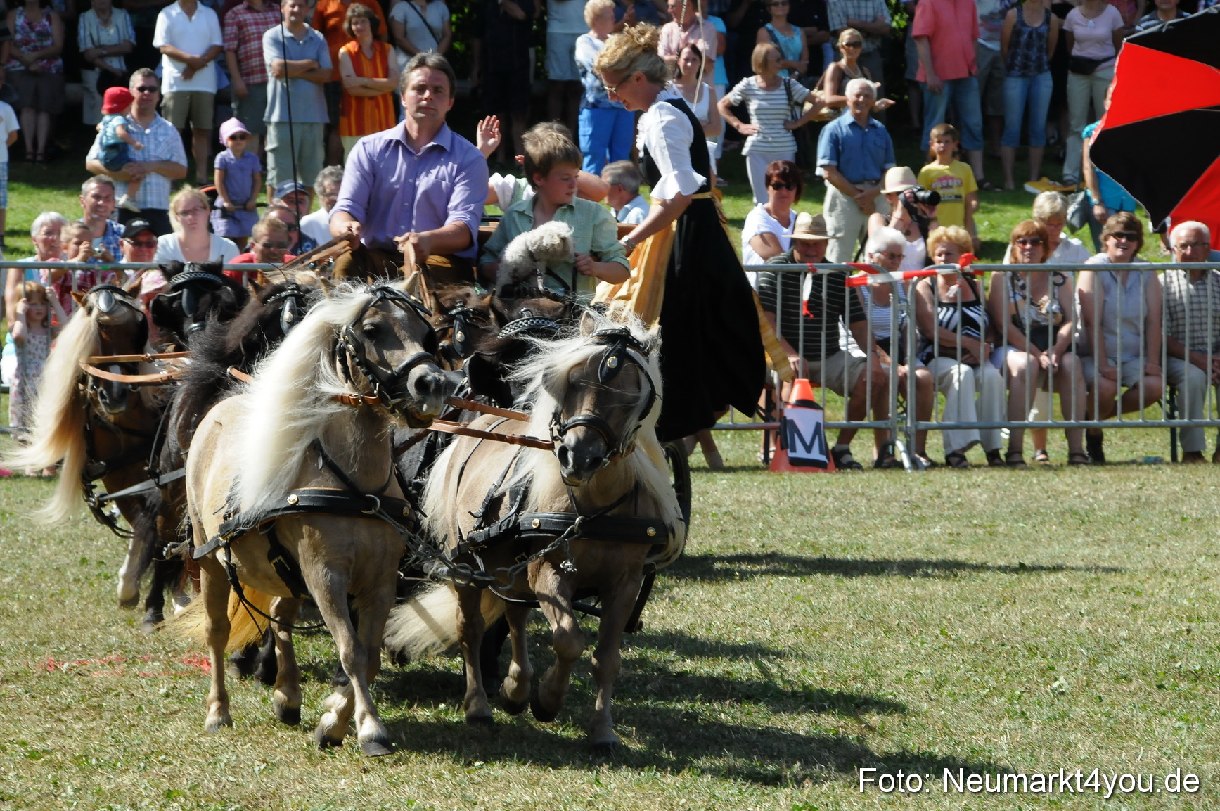 Pferde Fohlenschau 200812 0289