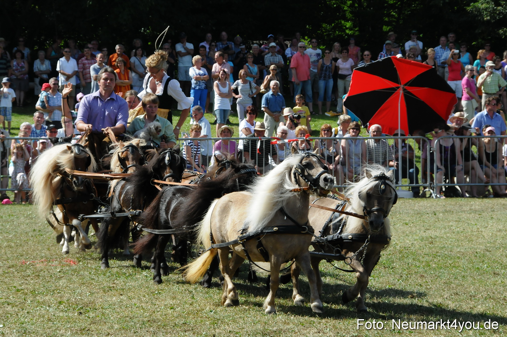 Pferde Fohlenschau 200812 0290