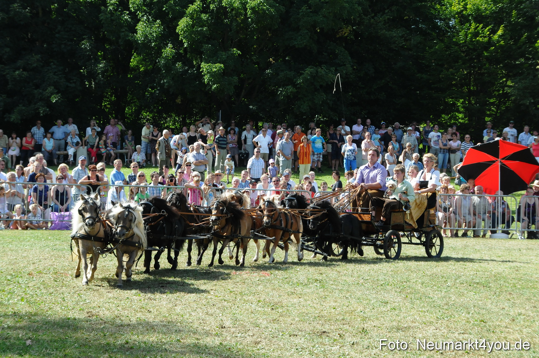 Pferde Fohlenschau 200812 0293