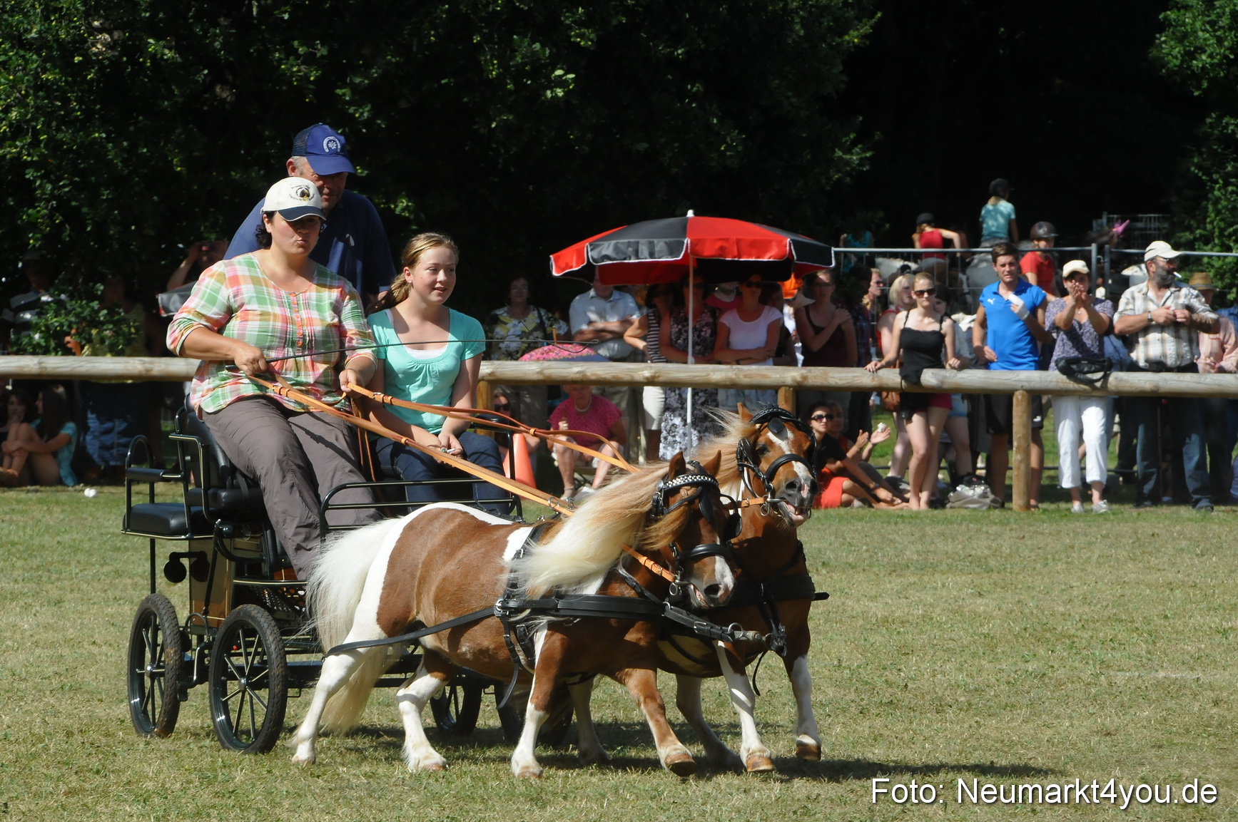 Pferde Fohlenschau 200812 0294